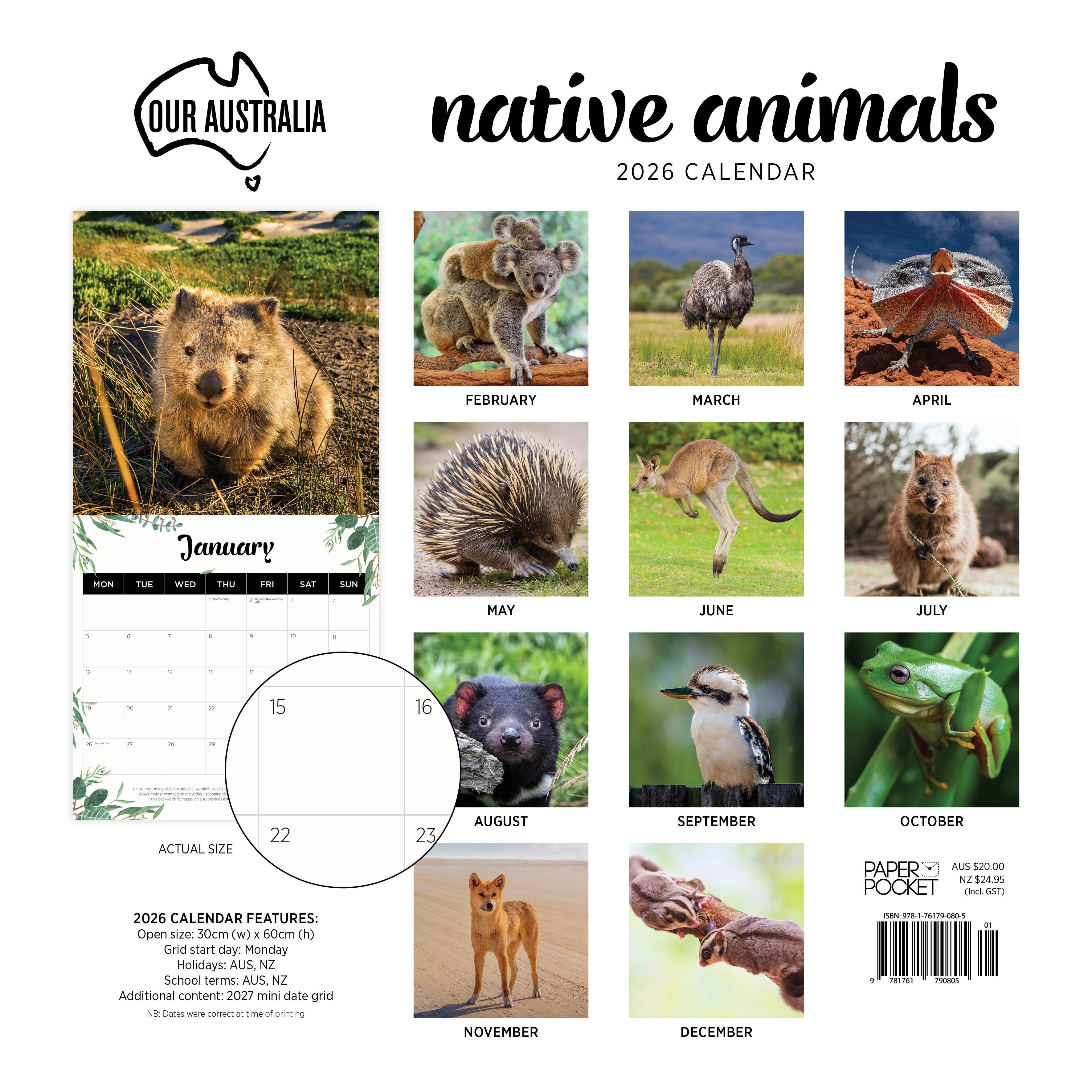 2026 Our Australia Native Animals - Square Wall Calendar