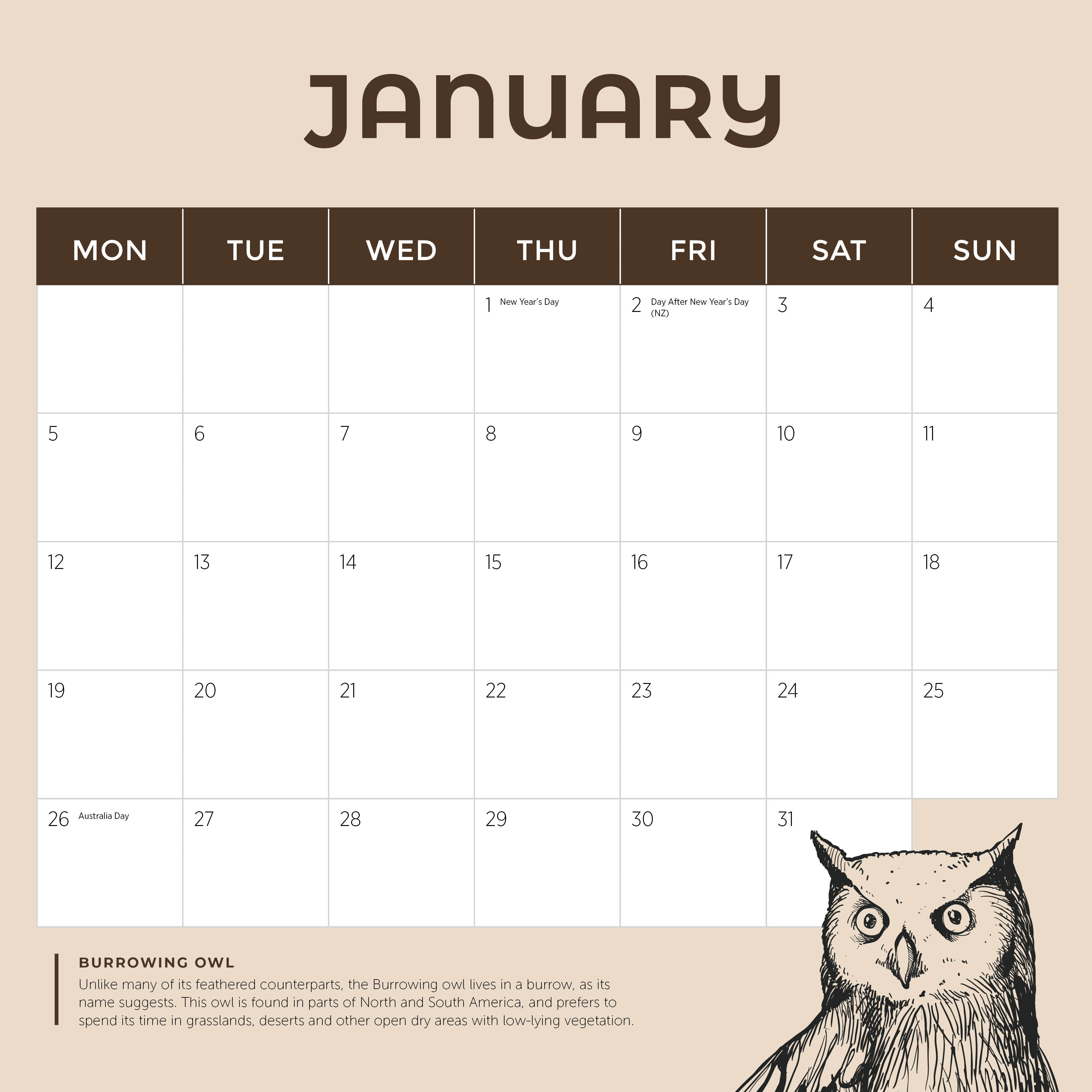2026 Owls - Square Wall Calendar