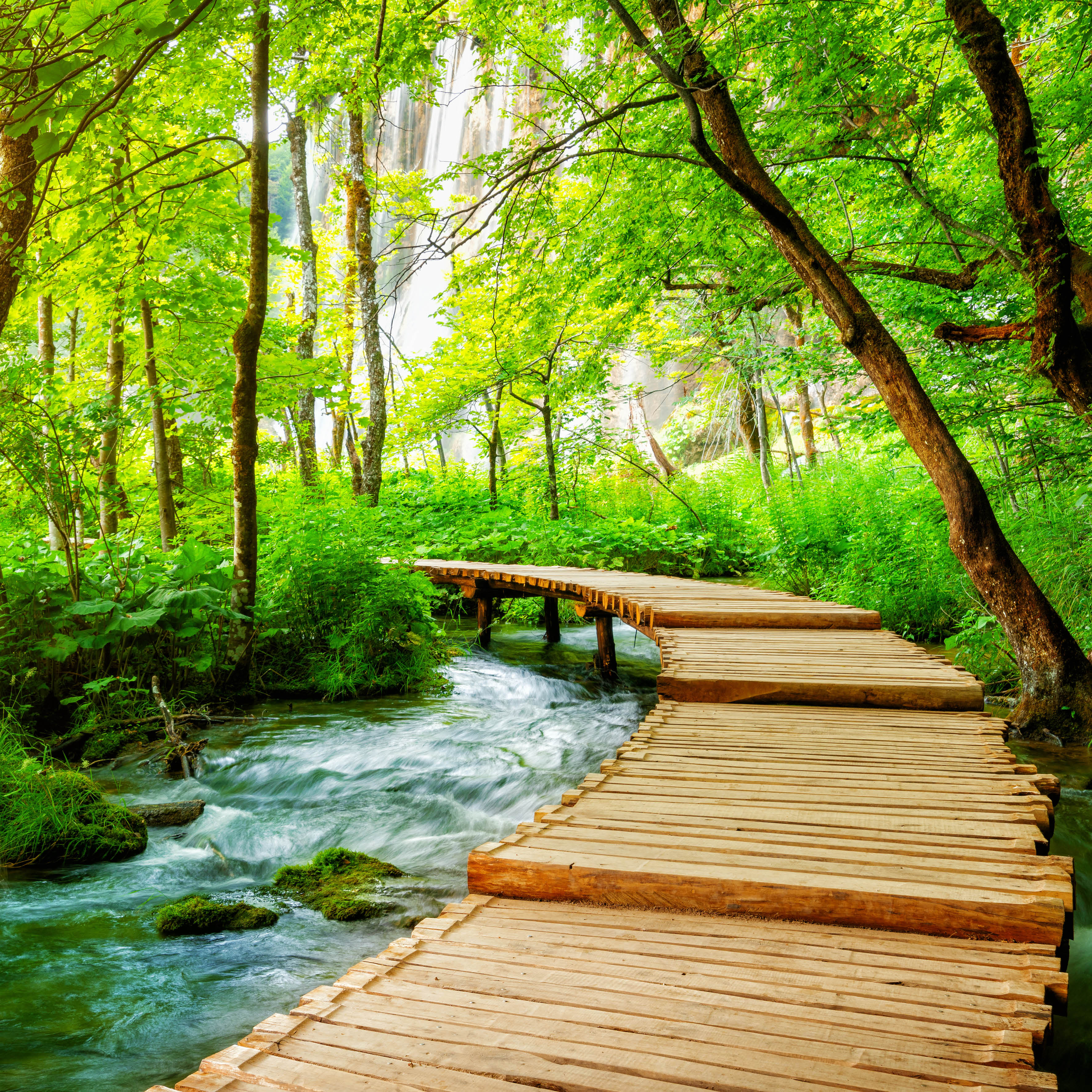 2026 Pathways Of The World - Square Wall Calendar