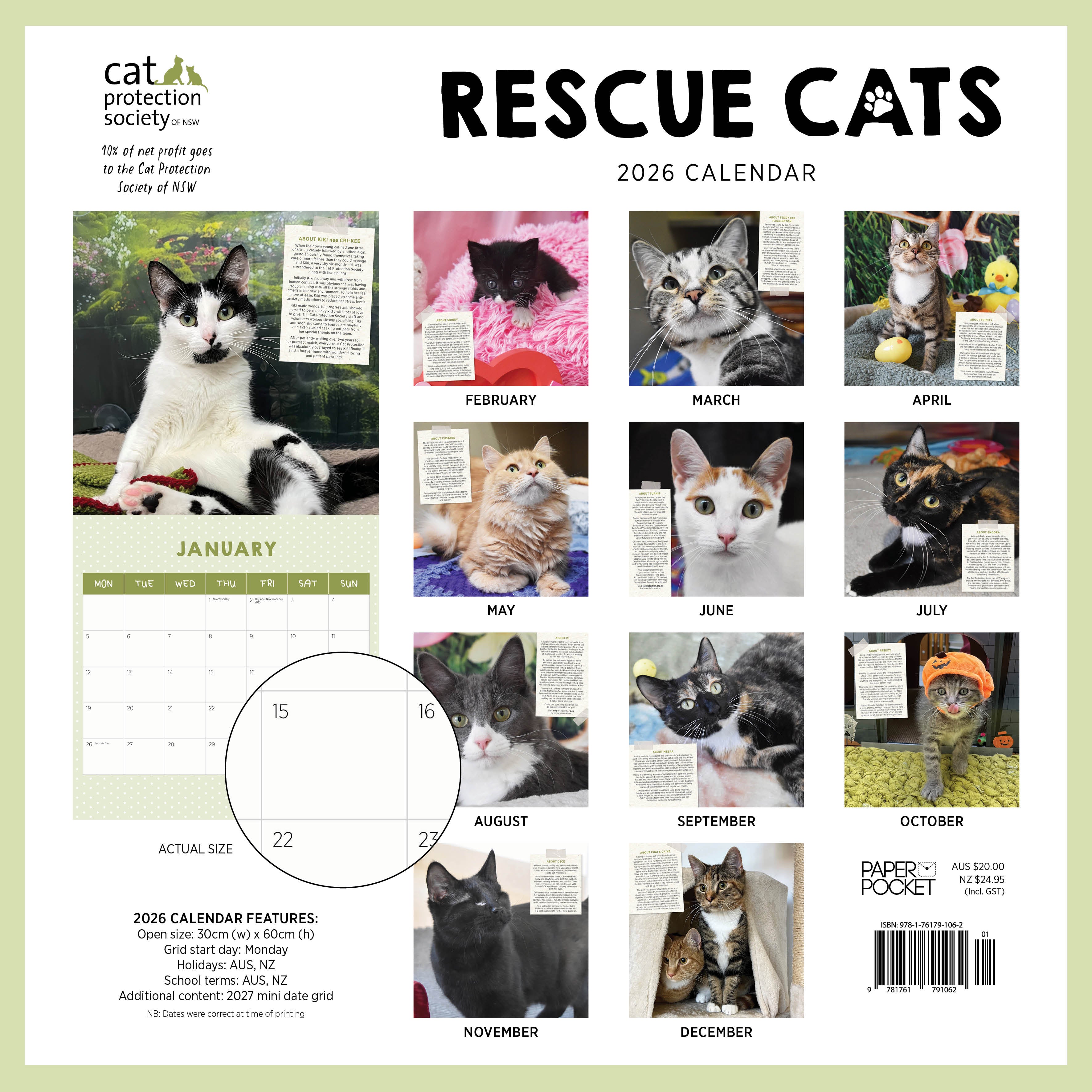 2026 Rescue Cats - Square Wall Calendar