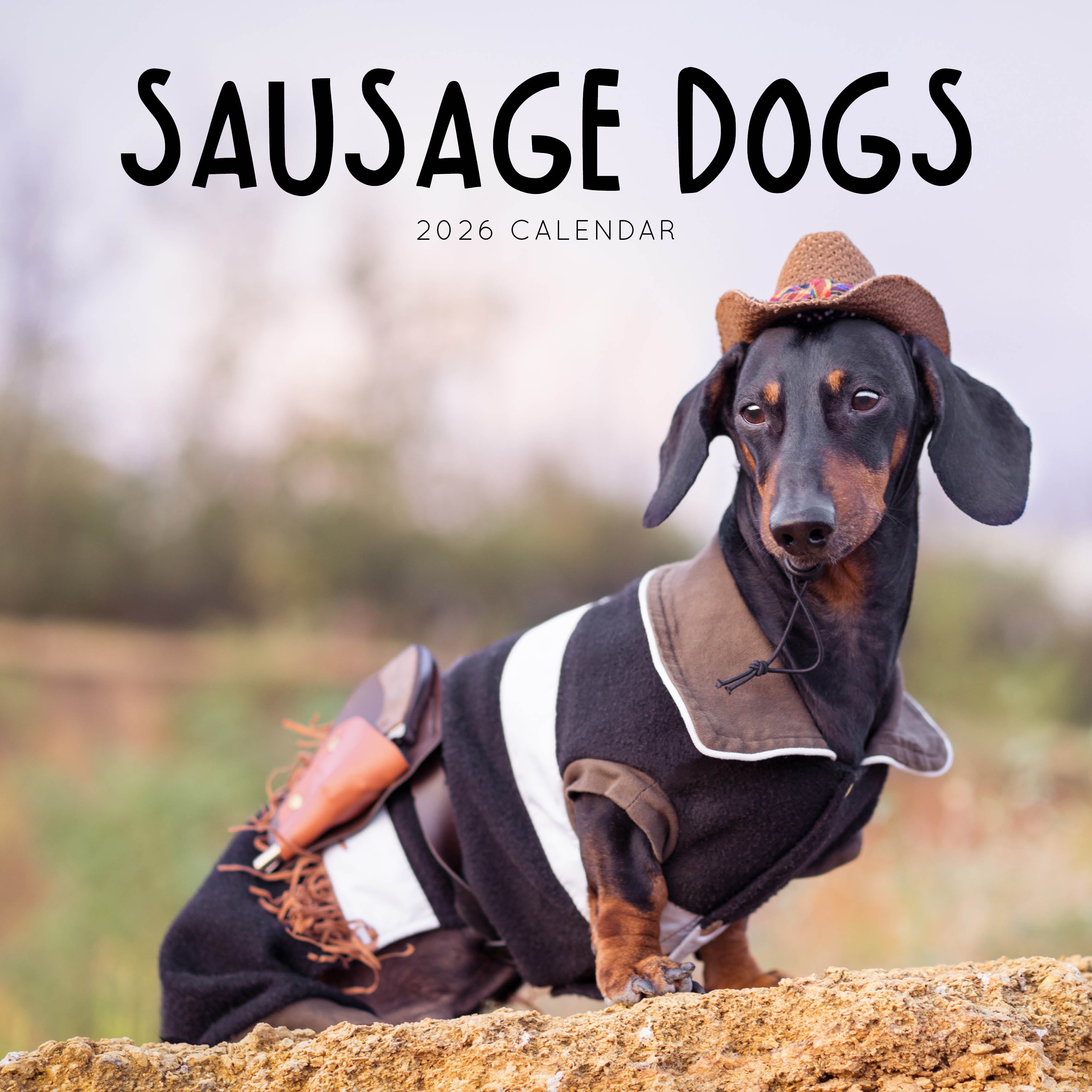 2026 Sausage Dogs - Square Wall Calendar