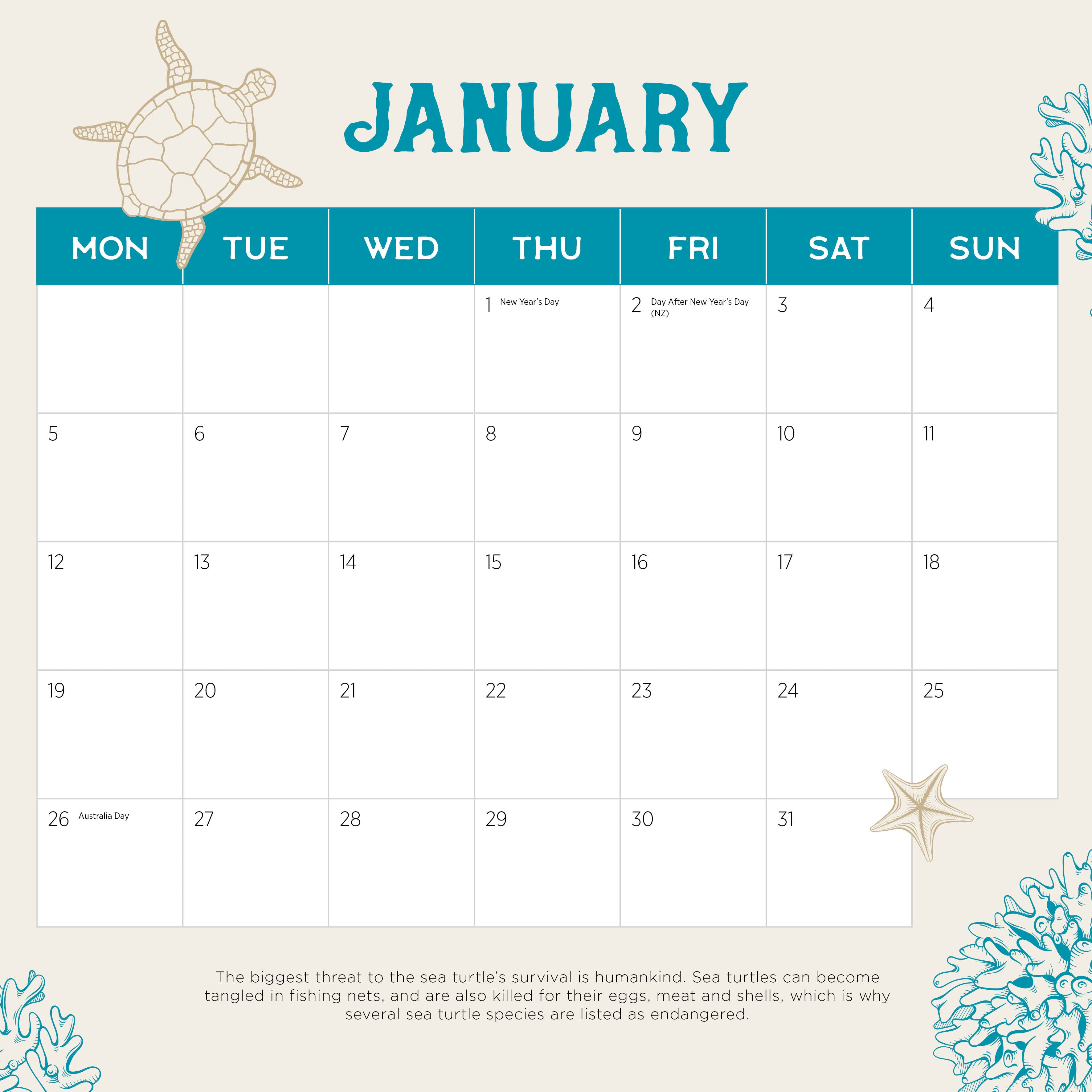 2026 Sea Turtles - Square Wall Calendar