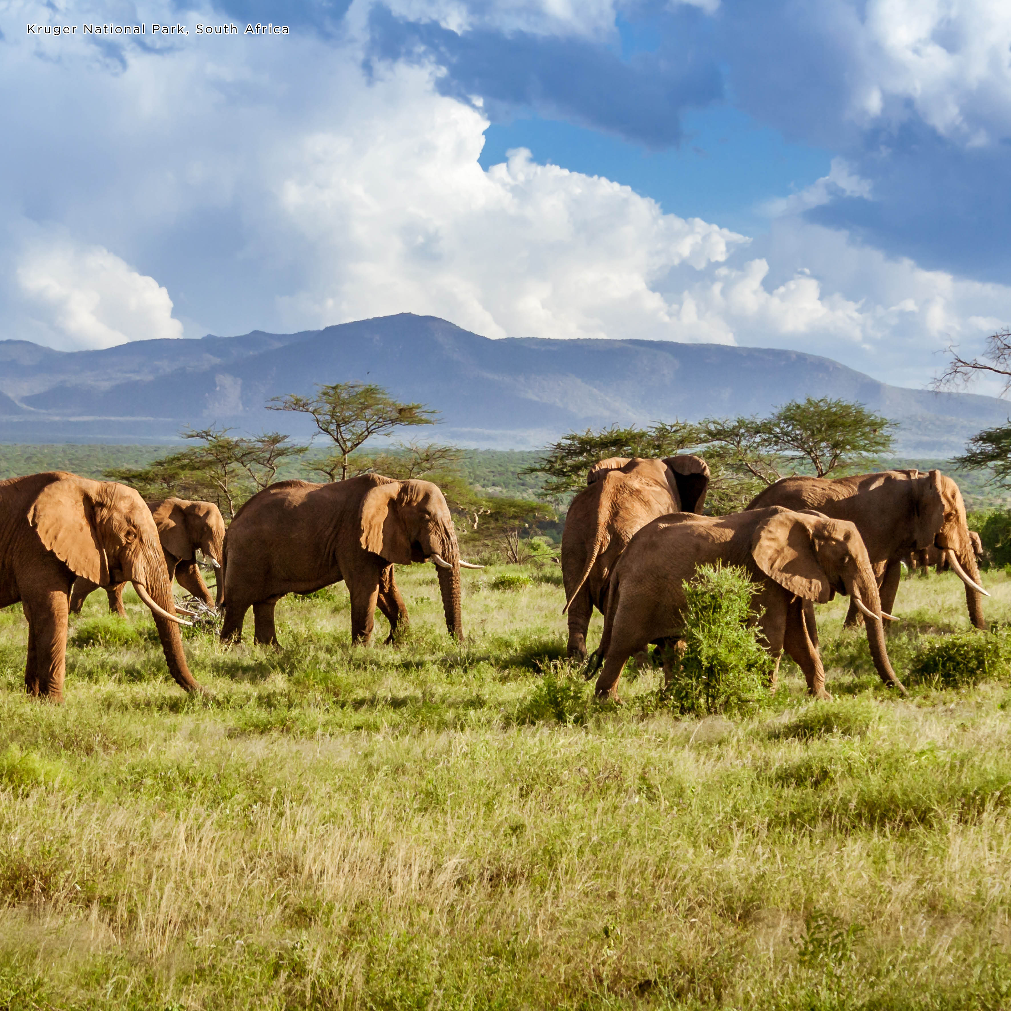 2026 World's Best National Parks - Square Wall Calendar