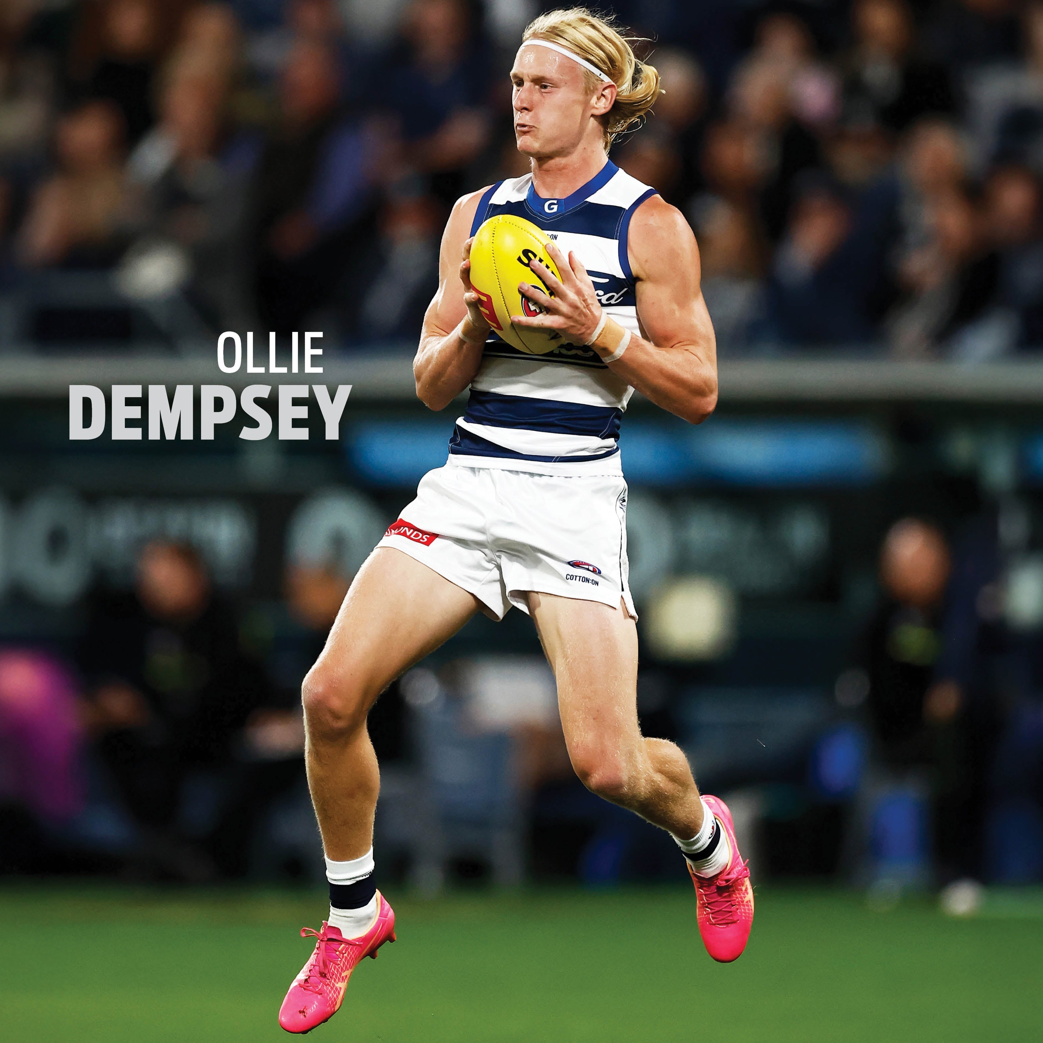 2026 AFL Geelong Cats - Square Wall Calendar