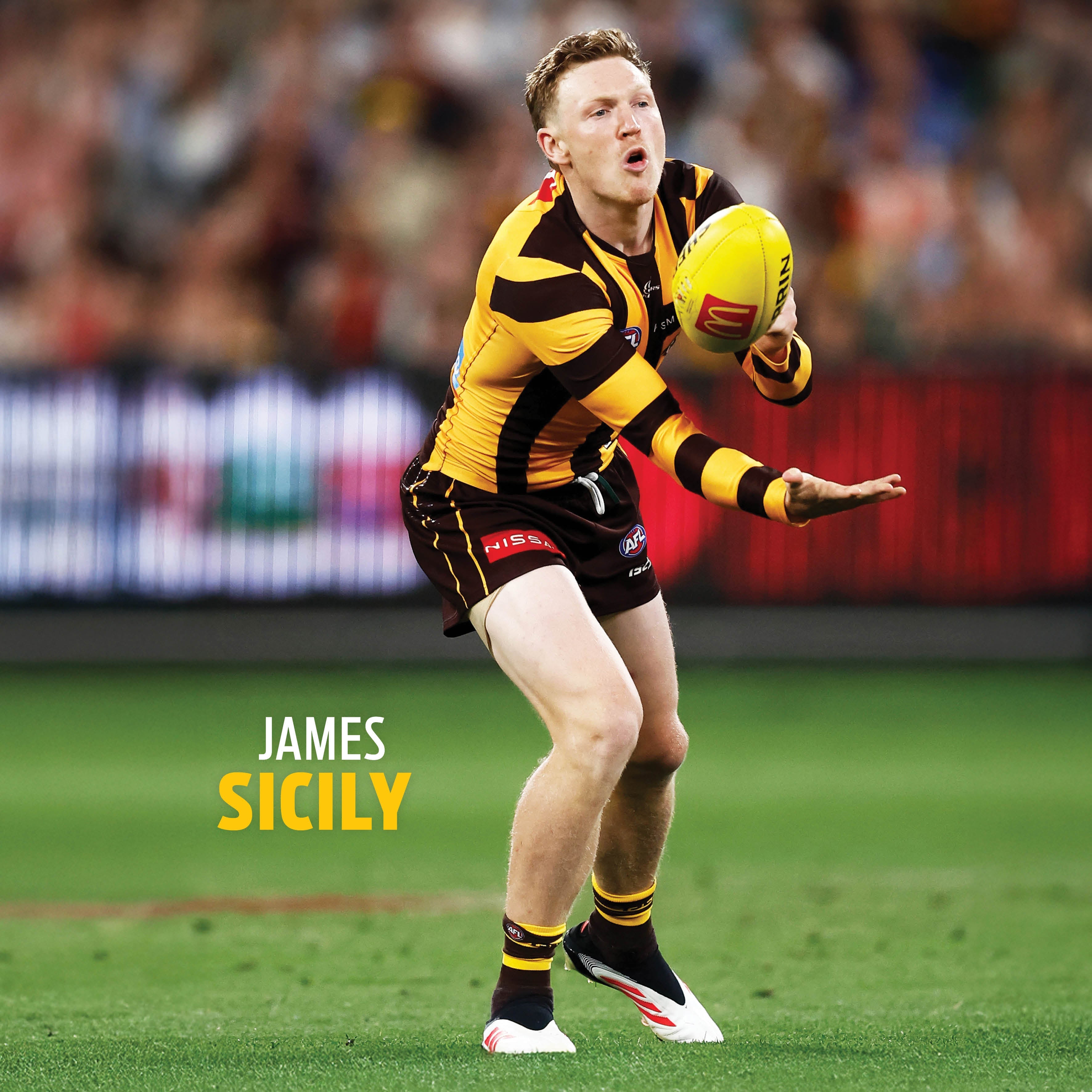 2026 AFL Hawthorn Hawks - Square Wall Calendar