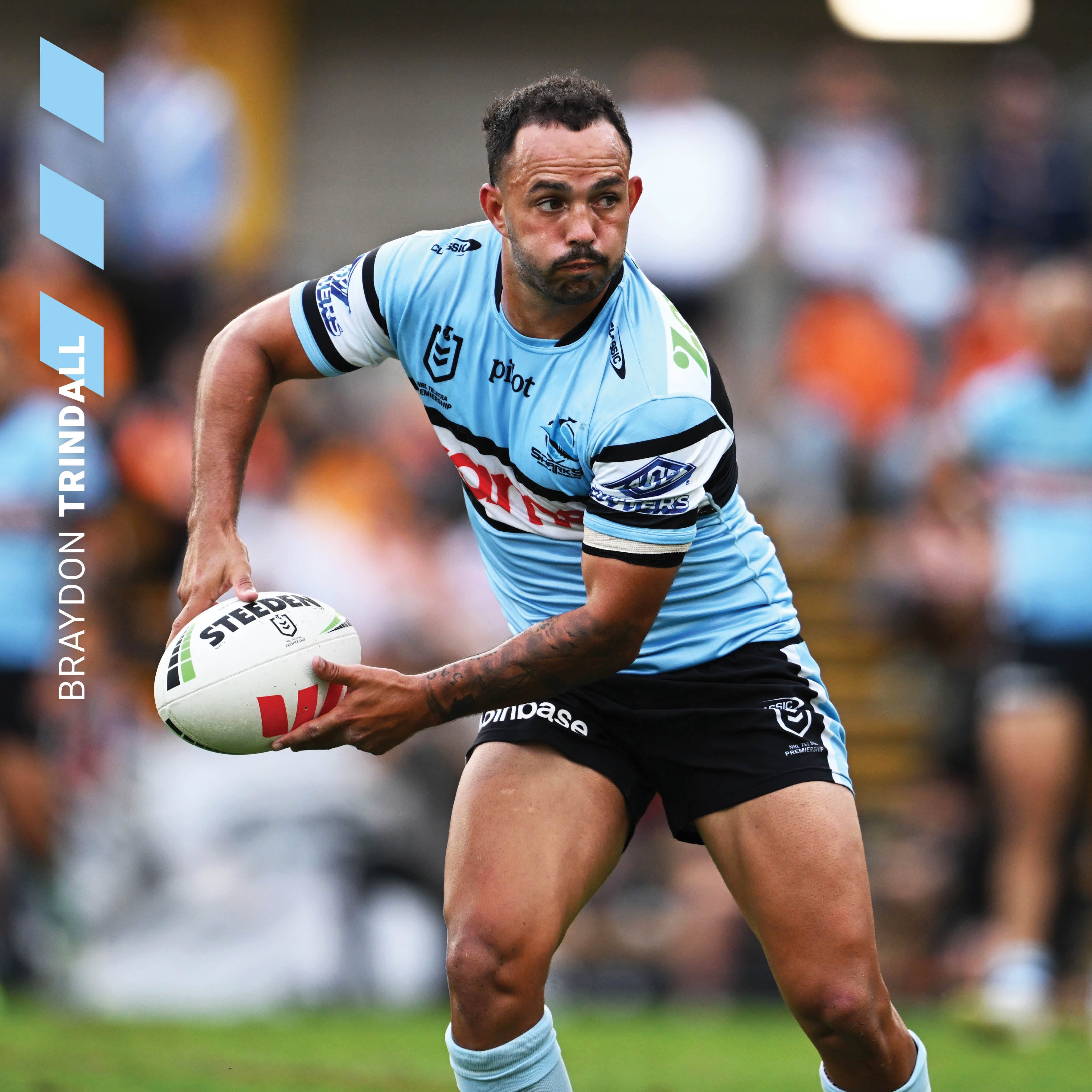 2026 NRL Cronulla Sharks - Square Wall Calendar