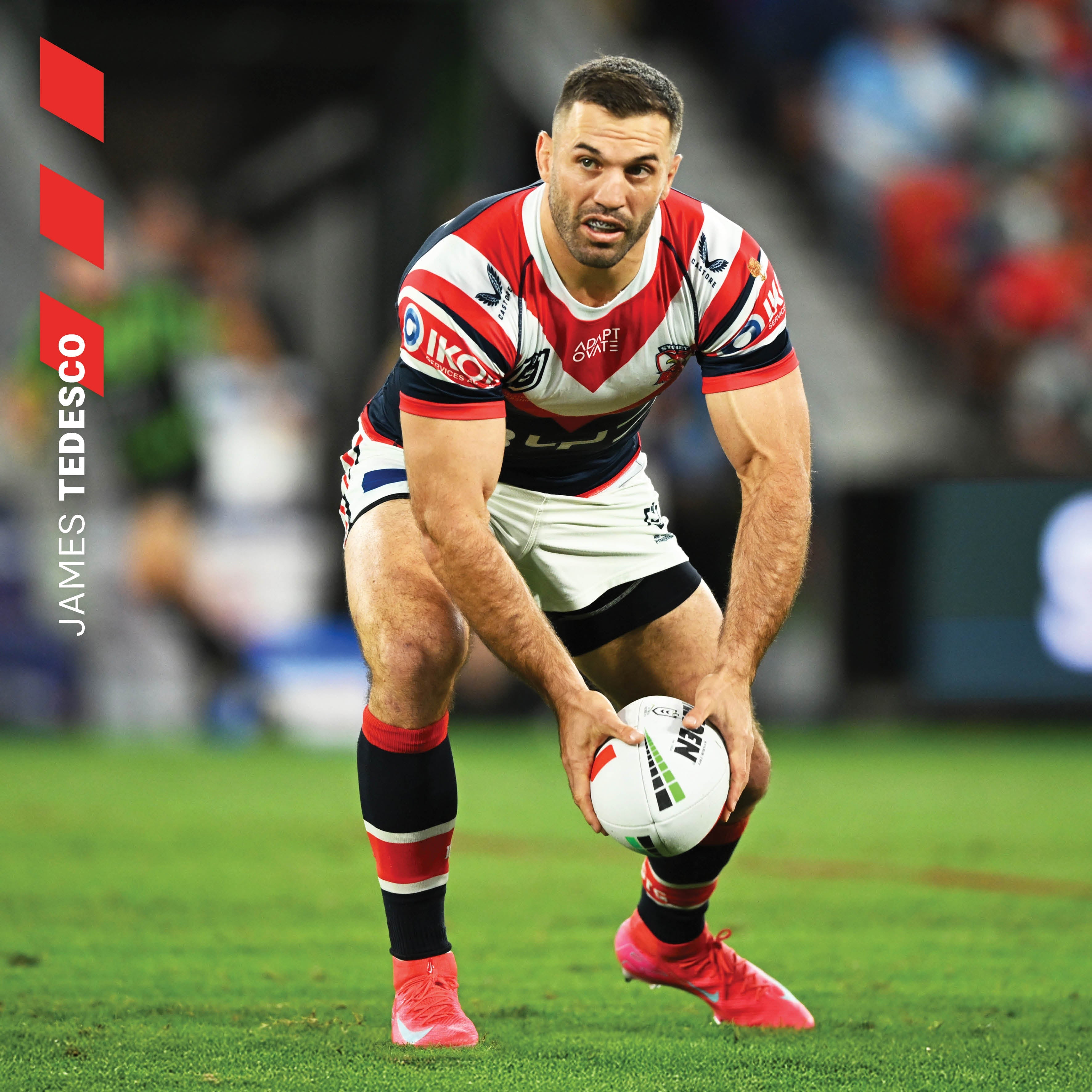 2026 NRL Sydney Roosters - Square Wall Calendar