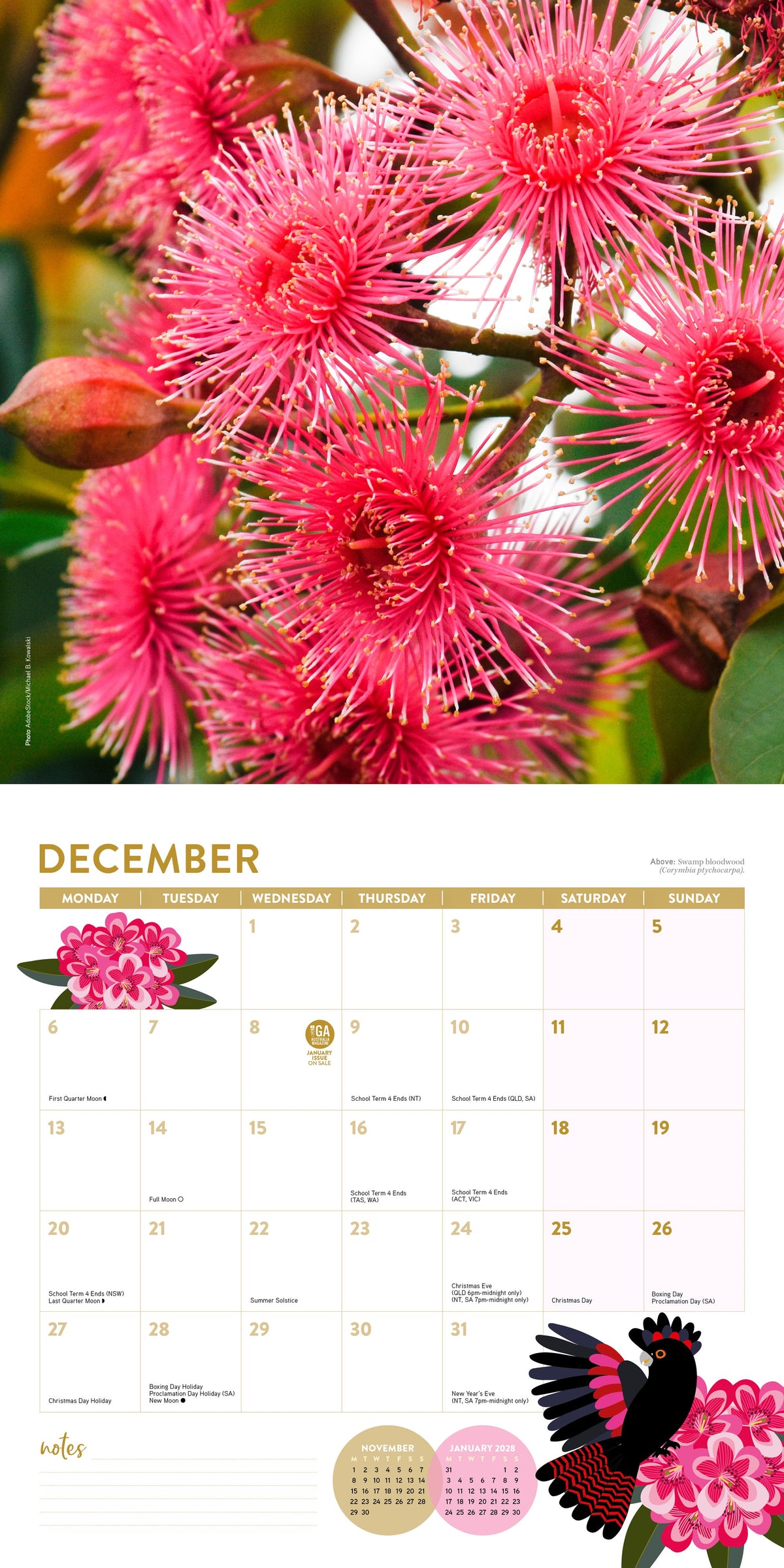2027 ABC Gardening Australia - Square Wall Calendar â December spread