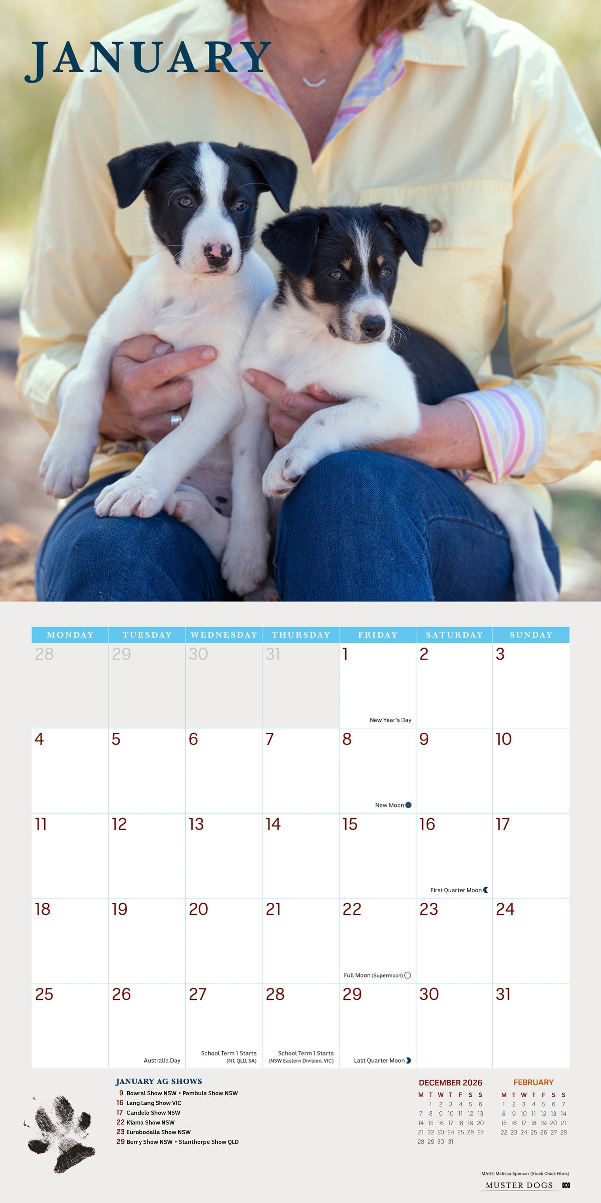 2027 ABC Muster Dogs - Square Wall Calendar â January spread