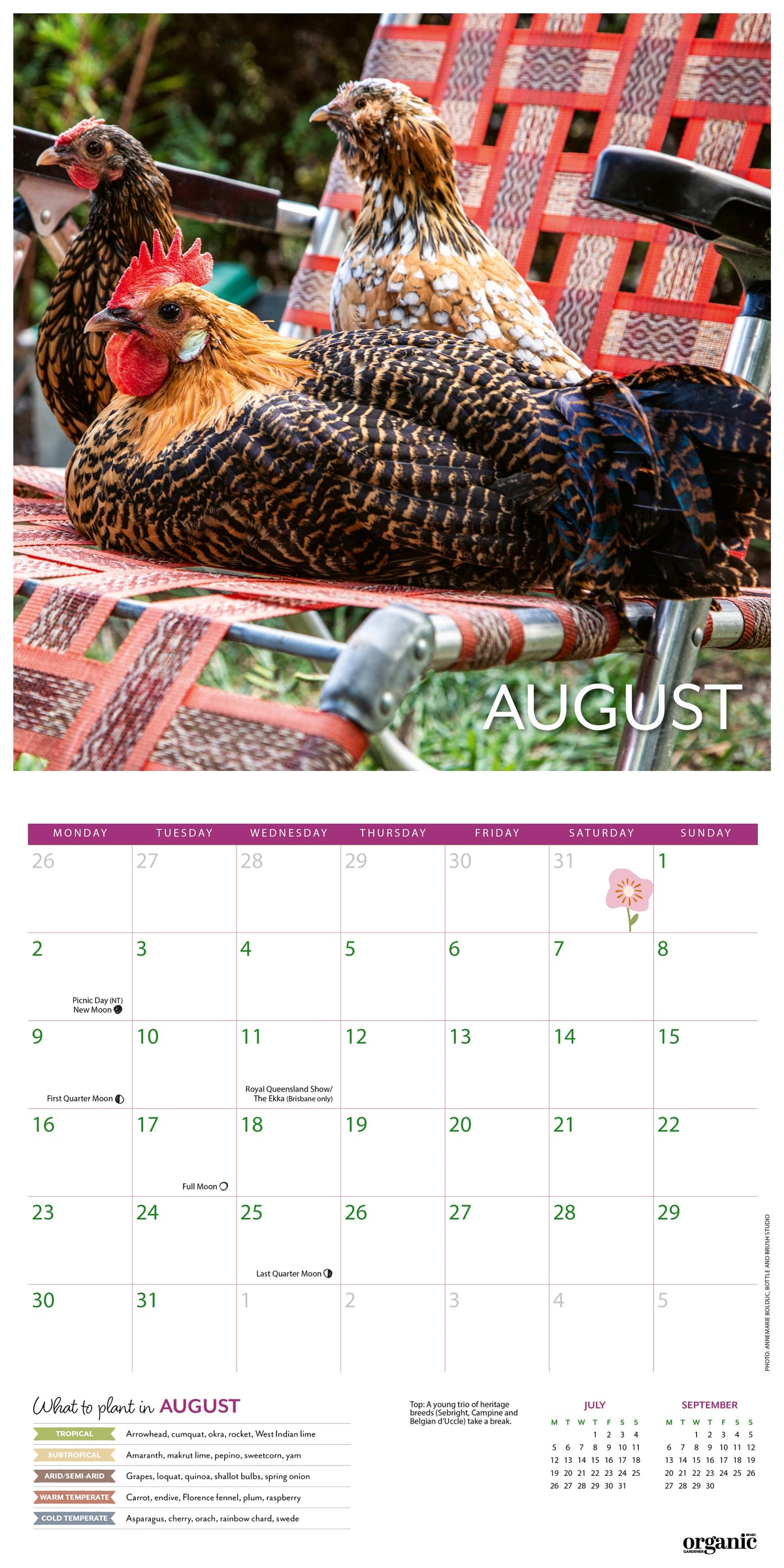 2027 ABC Organic Gardener - Square Wall Calendar — August spread