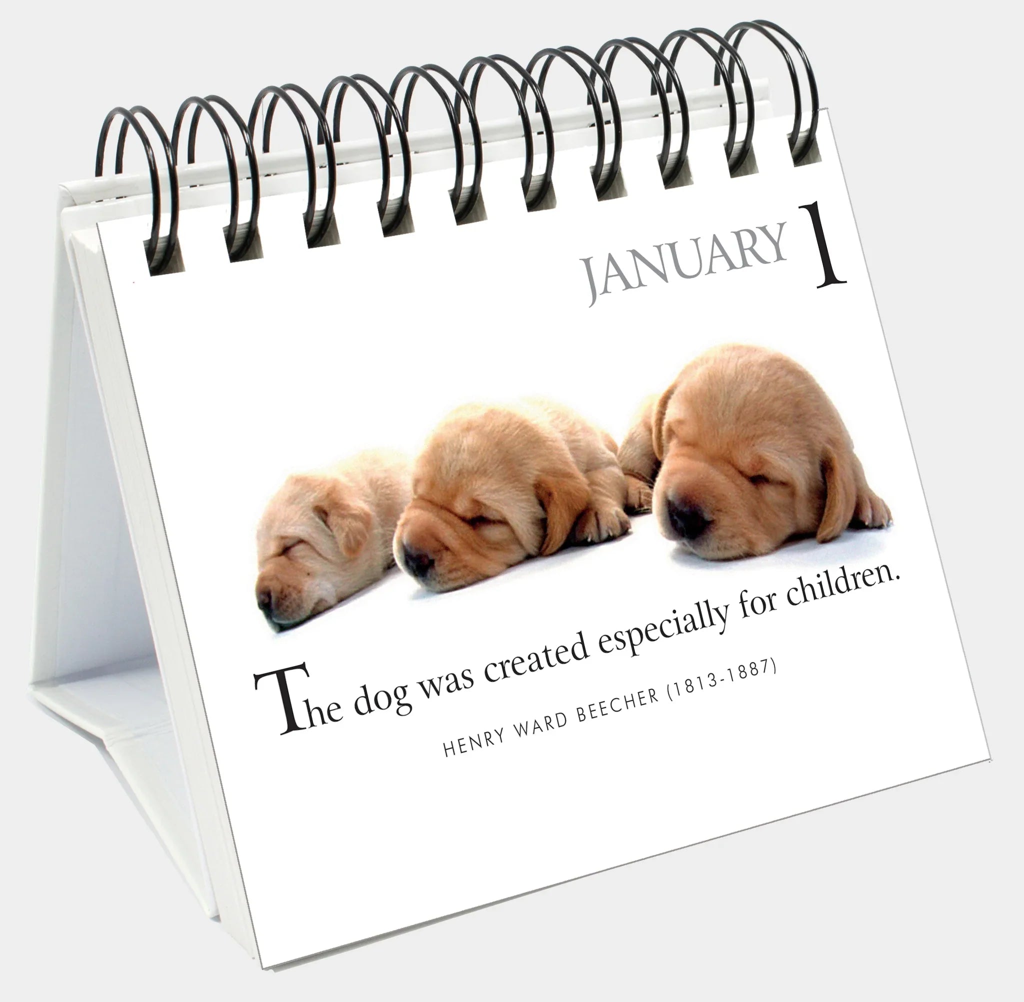 365 Days With My Faithful Dog - Page-A-Day Desk Easel Calendar