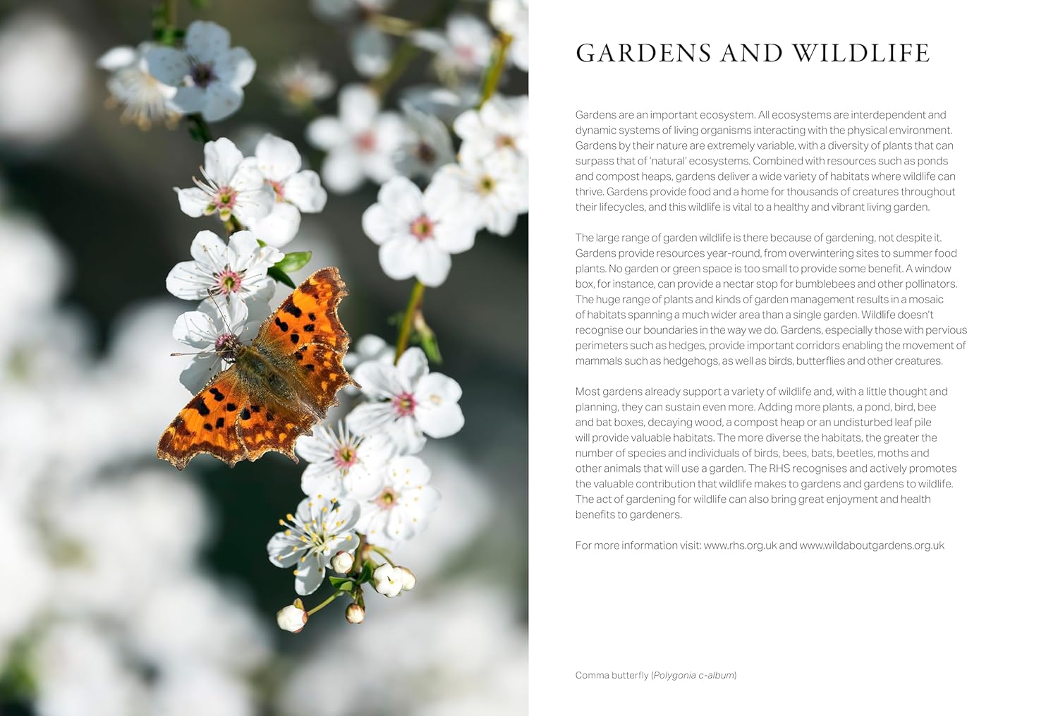 2027 RHS Wild in the Garden - Weekly Diary/Planner