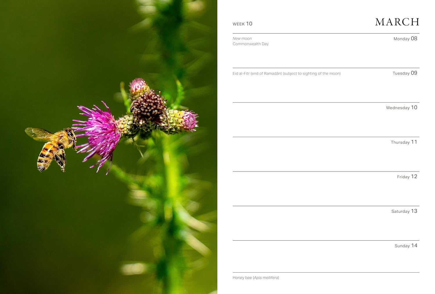 2027 RHS Wild in the Garden - Weekly Diary/Planner