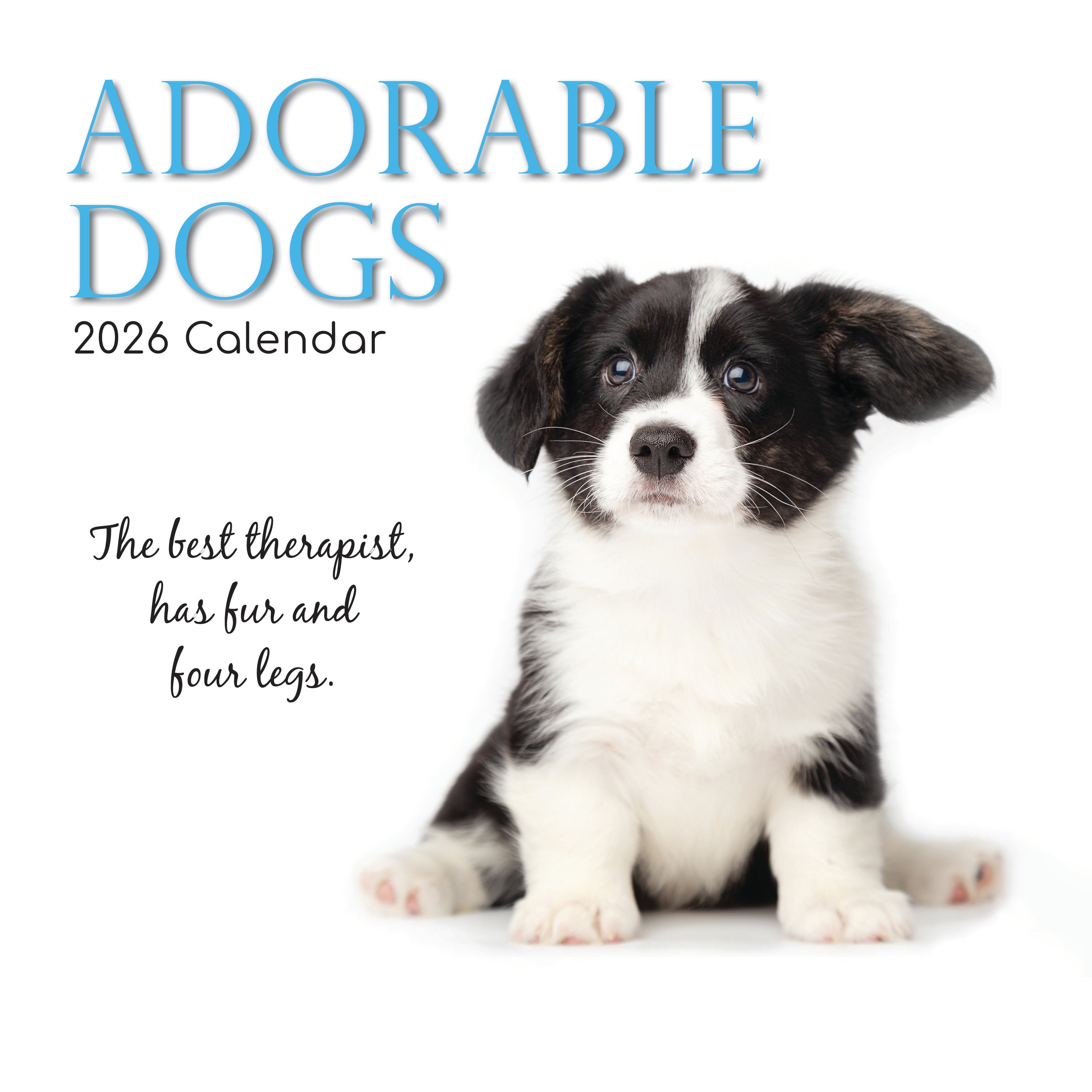 2026 Adorable Dogs - Square Wall Calendar