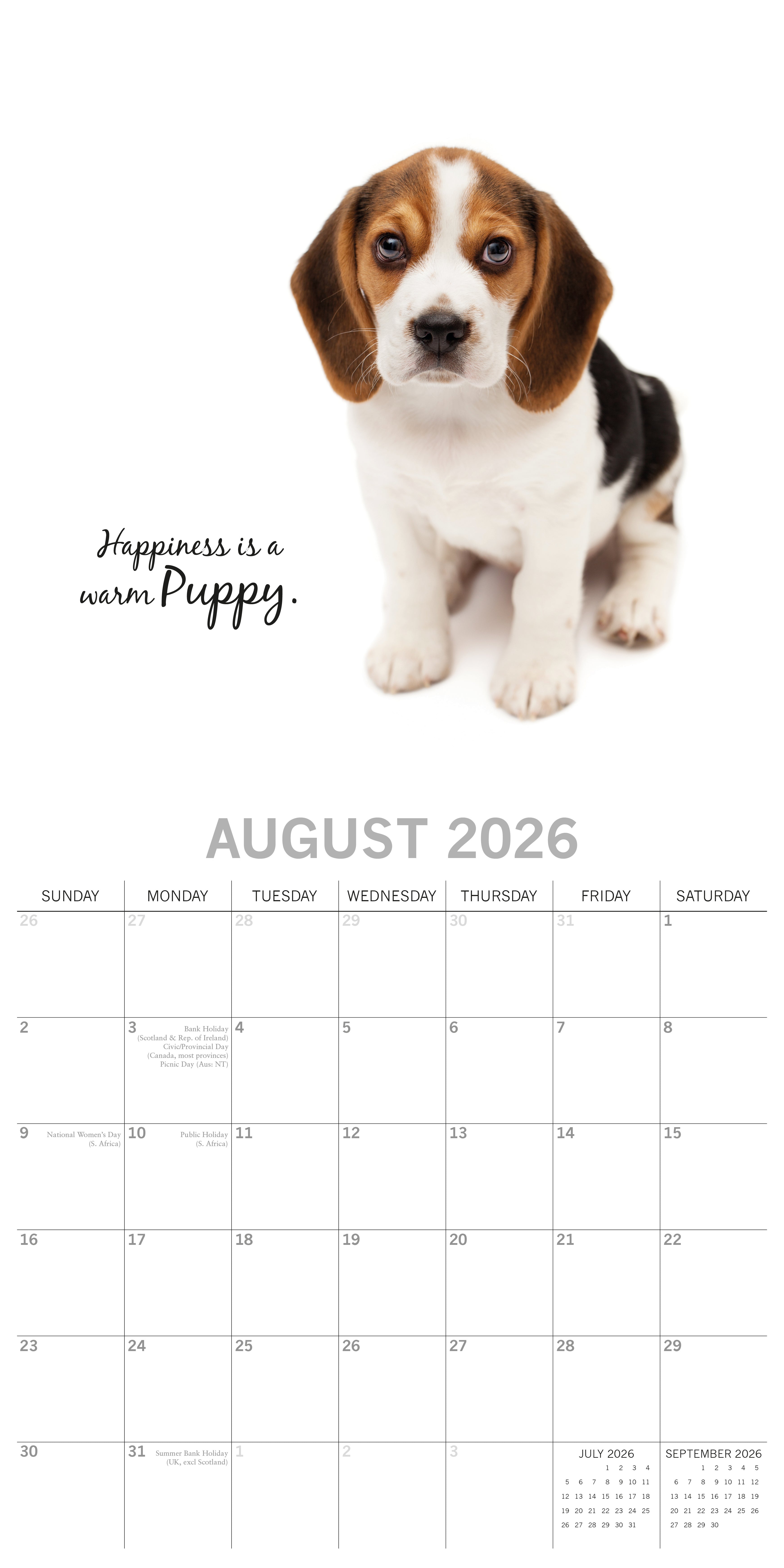 2026 Adorable Dogs - Square Wall Calendar