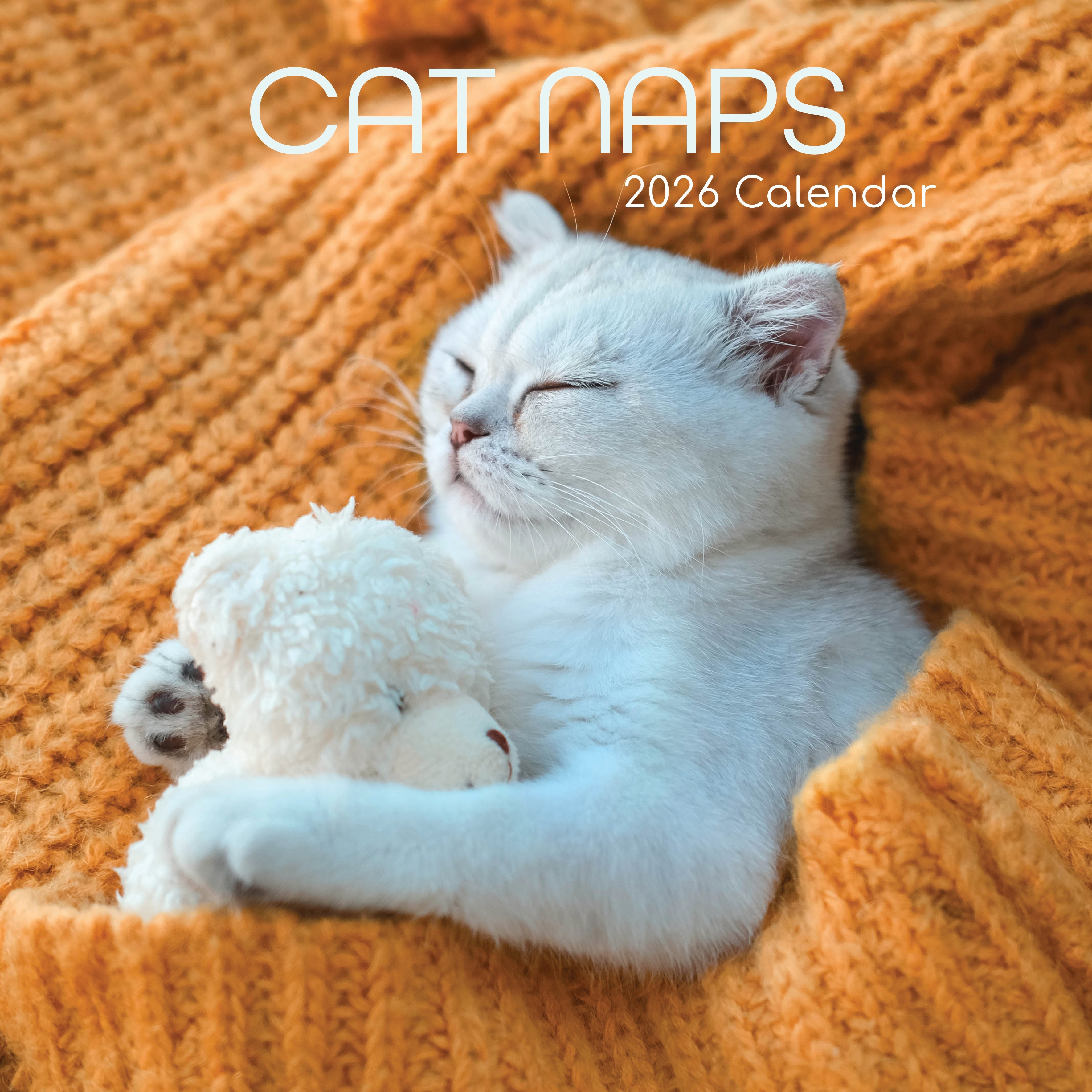 2026 Cat Naps - Square Wall Calendar
