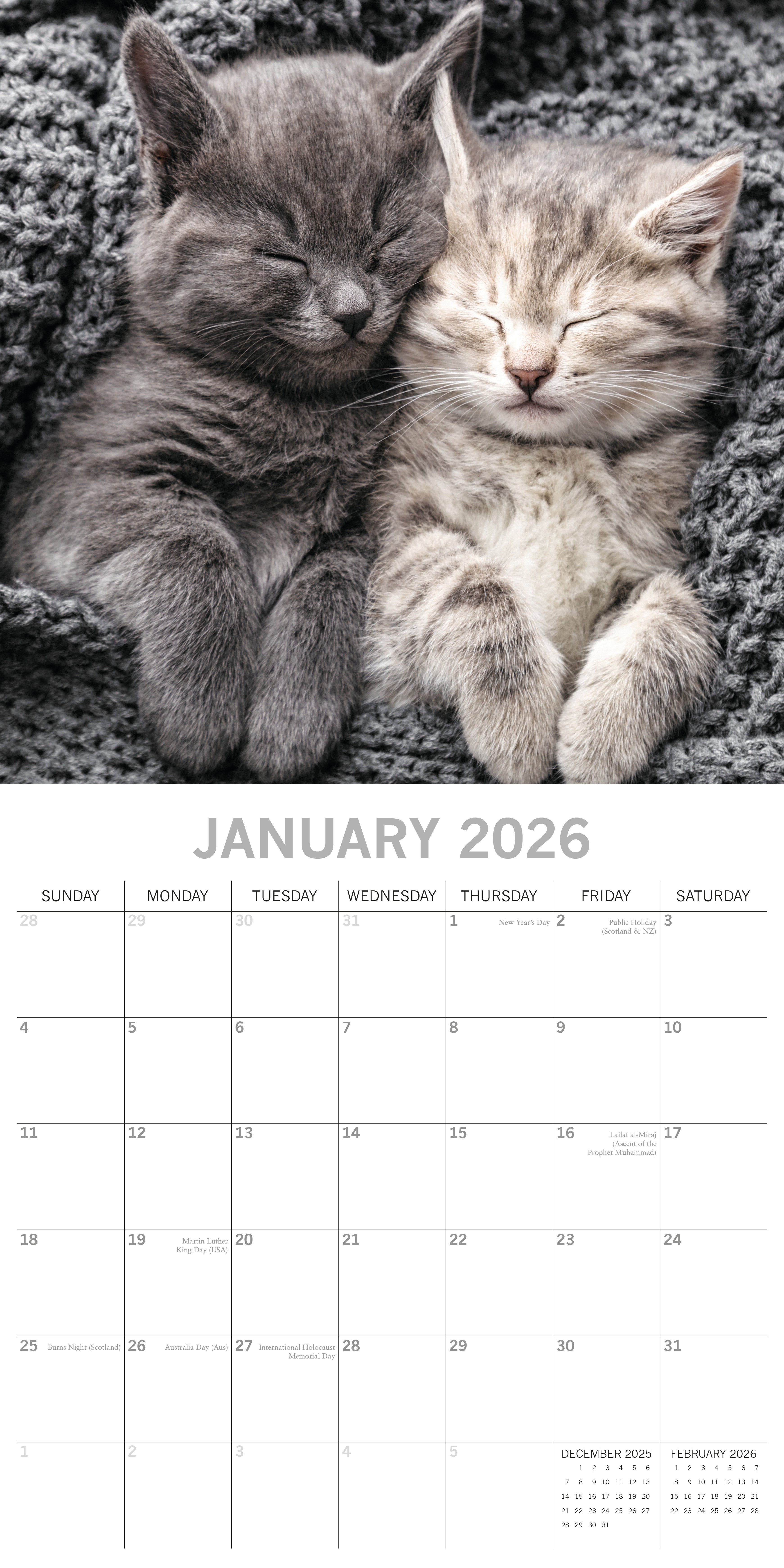 2026 Cat Naps - Square Wall Calendar