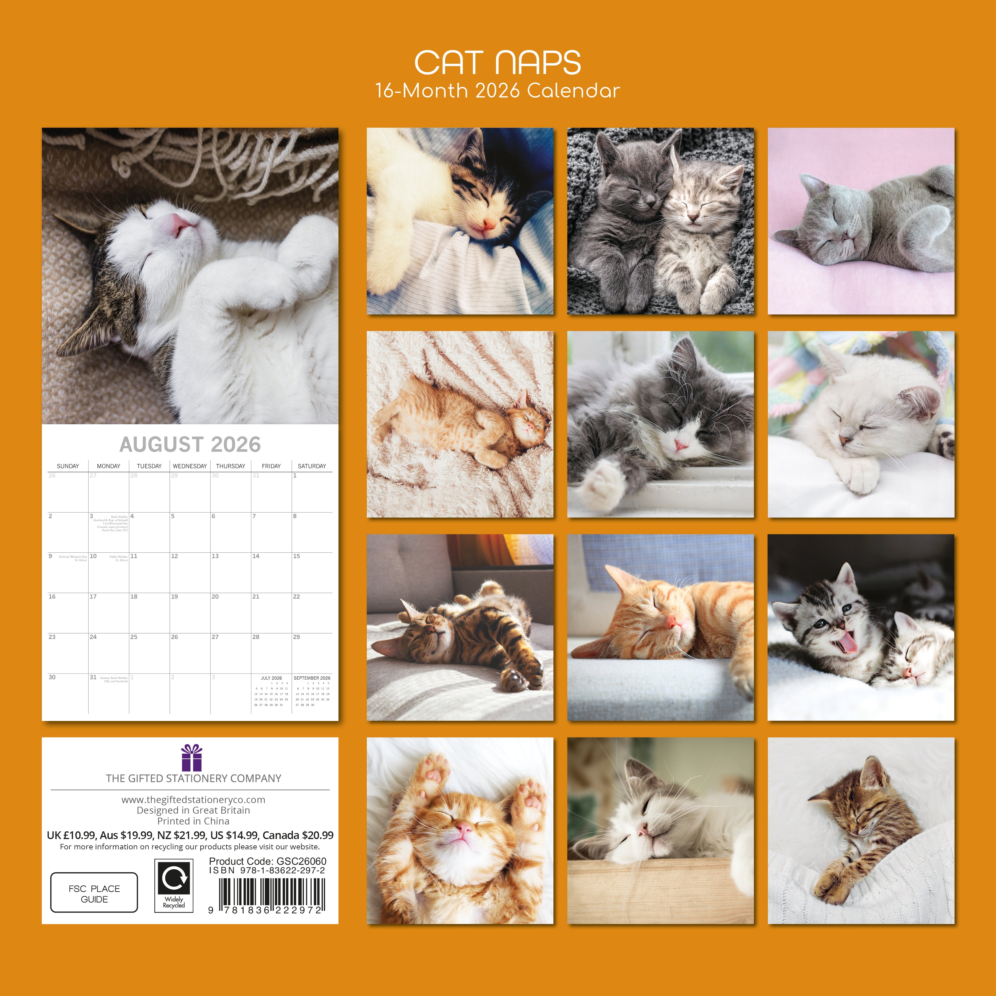 2026 Cat Naps - Square Wall Calendar