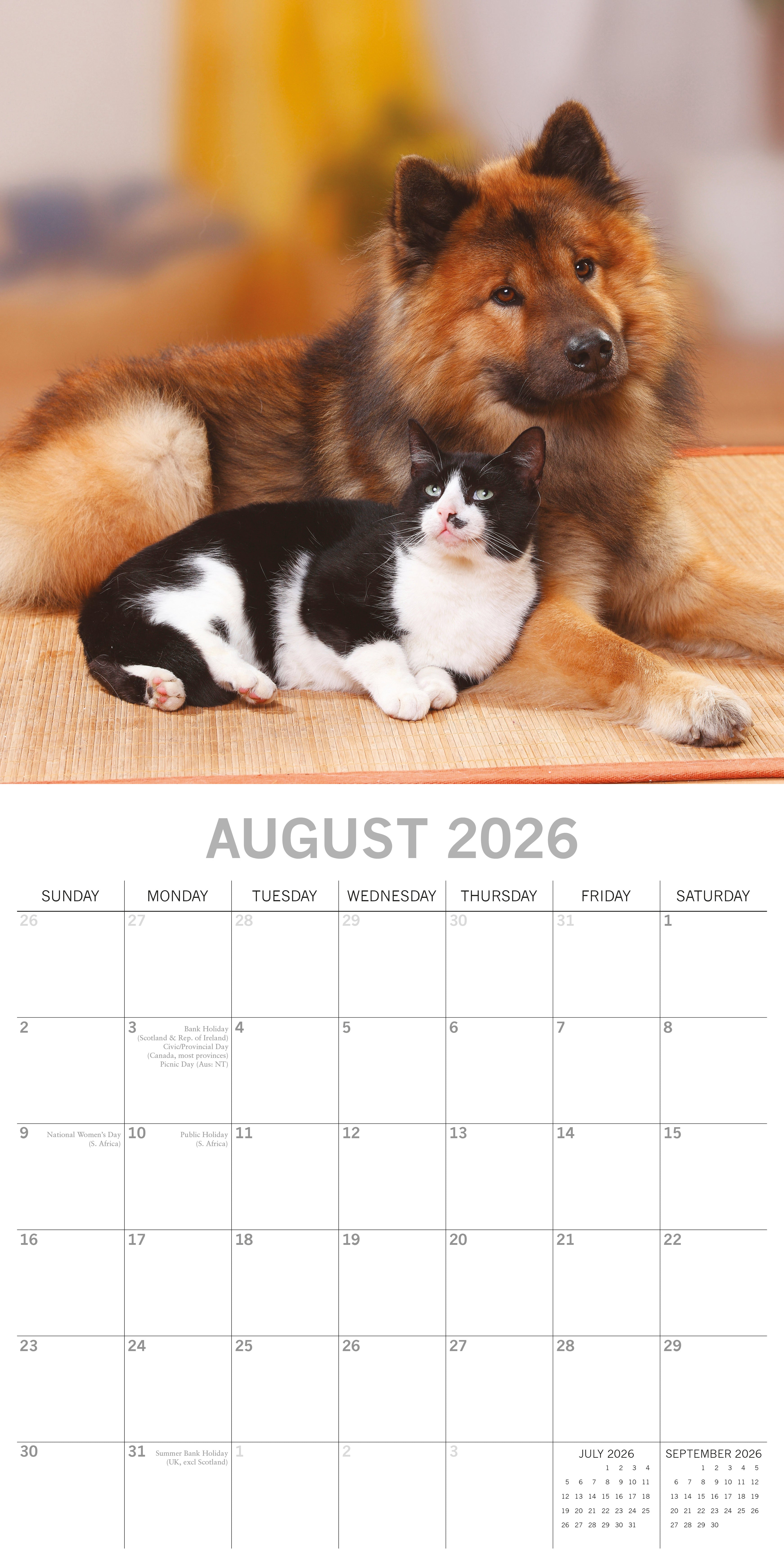 2026 Cats & Dogs - Square Wall Calendar