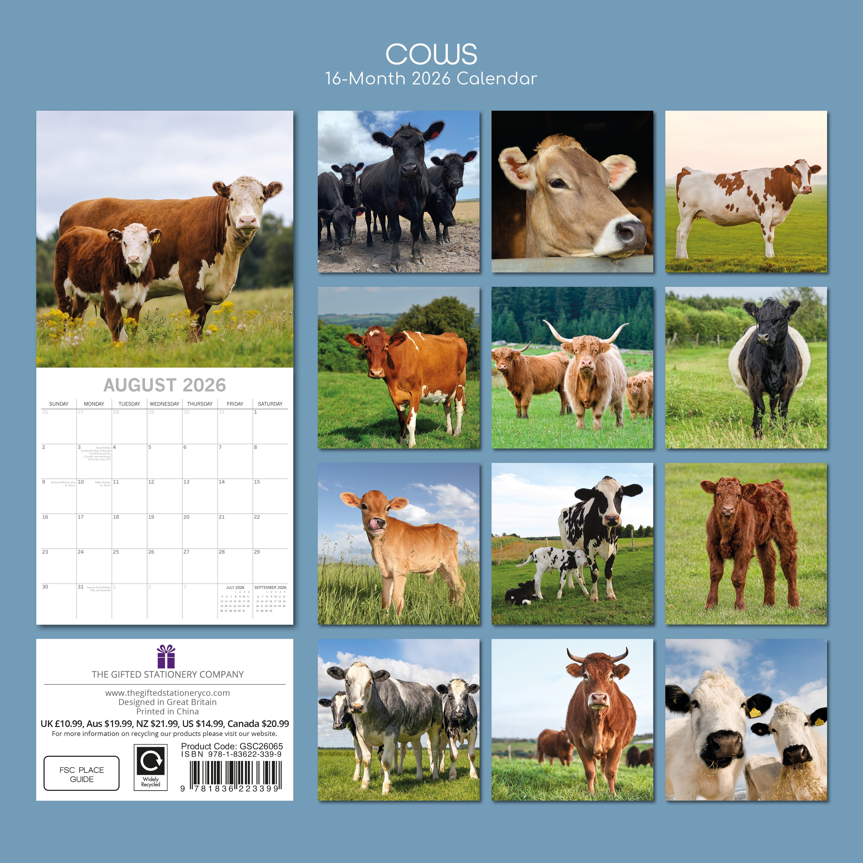 2026 Cows - Square Wall Calendar