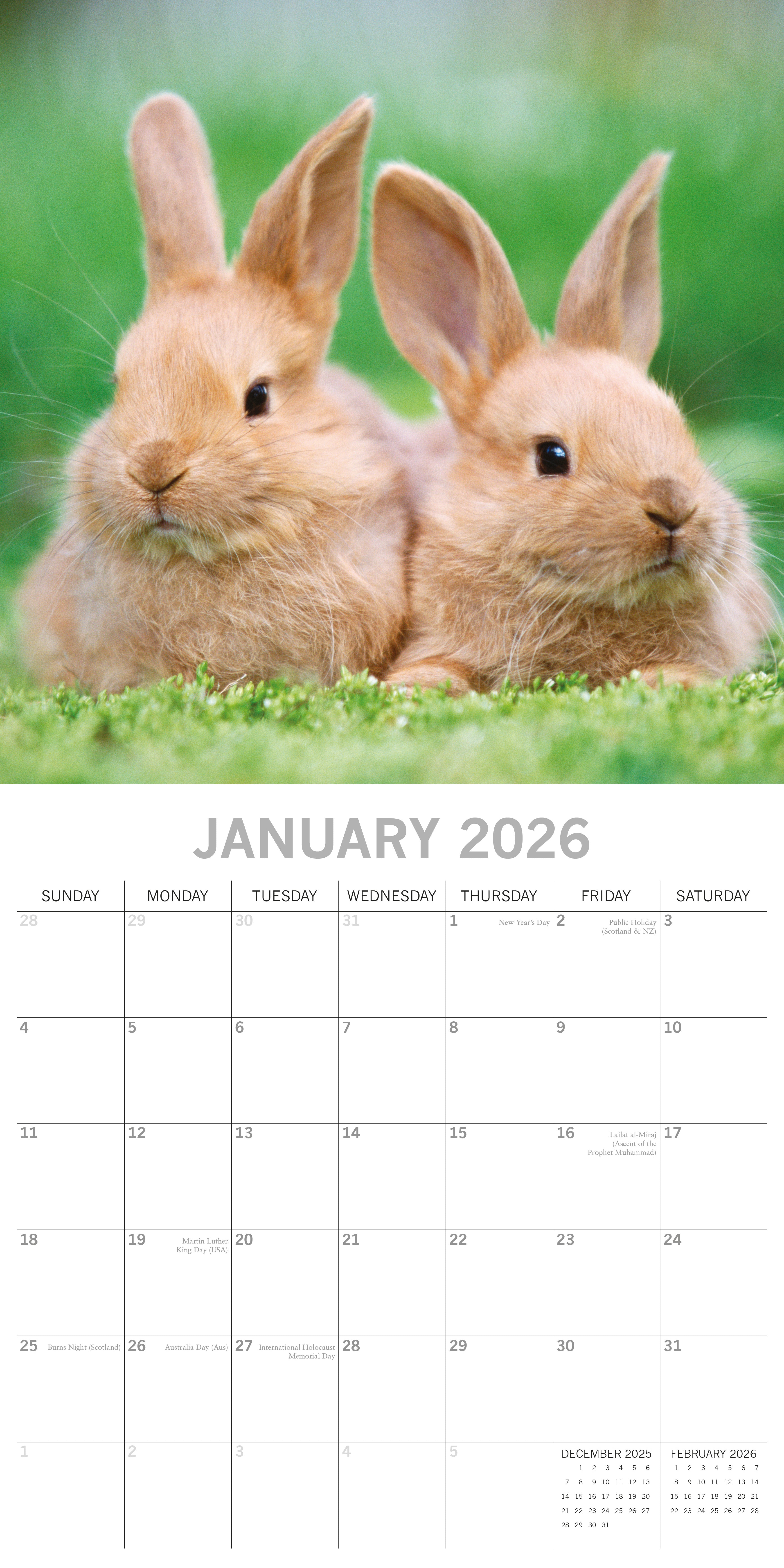 2026 Cute Bunnies - Square Wall Calendar