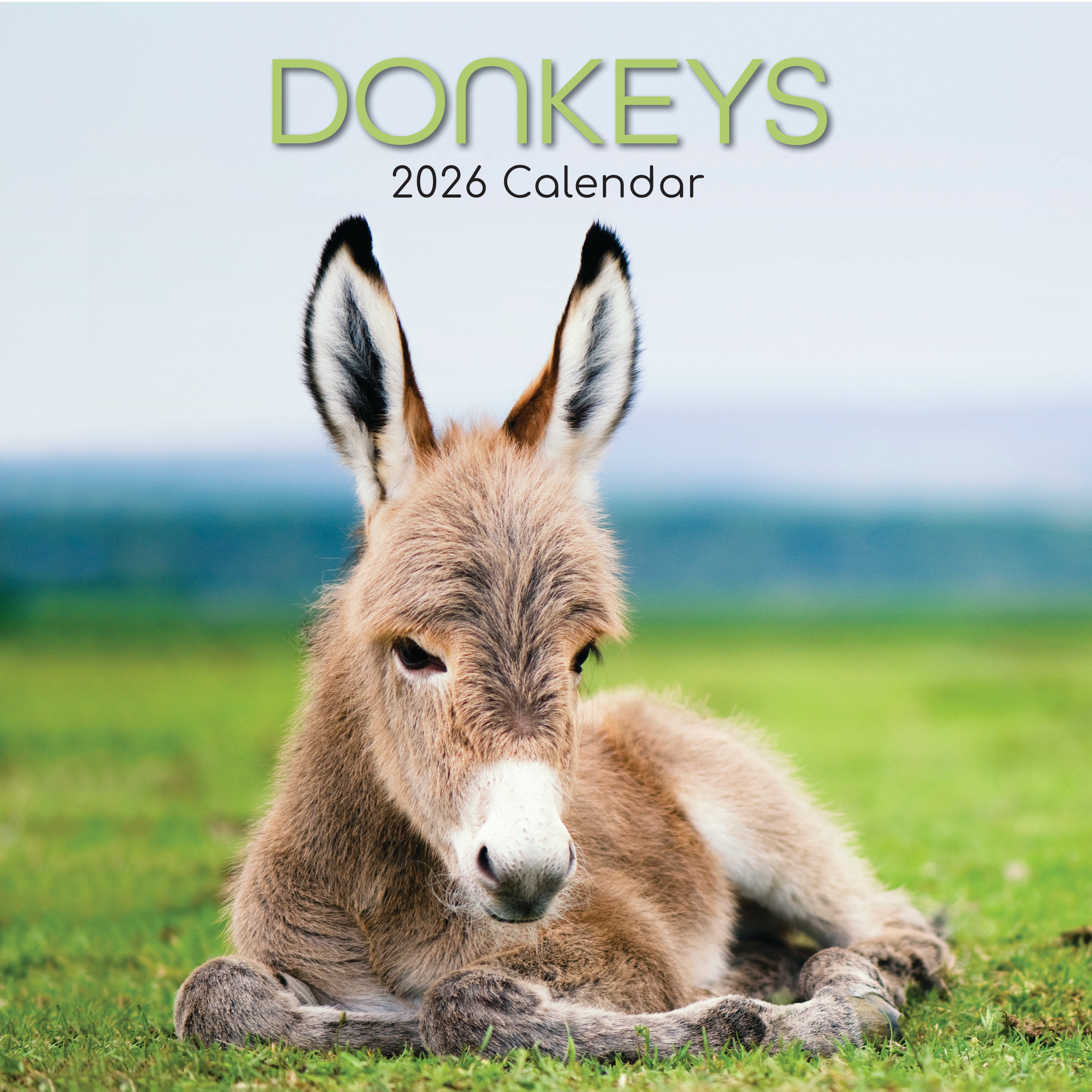 2026 Donkeys - Square Wall Calendar