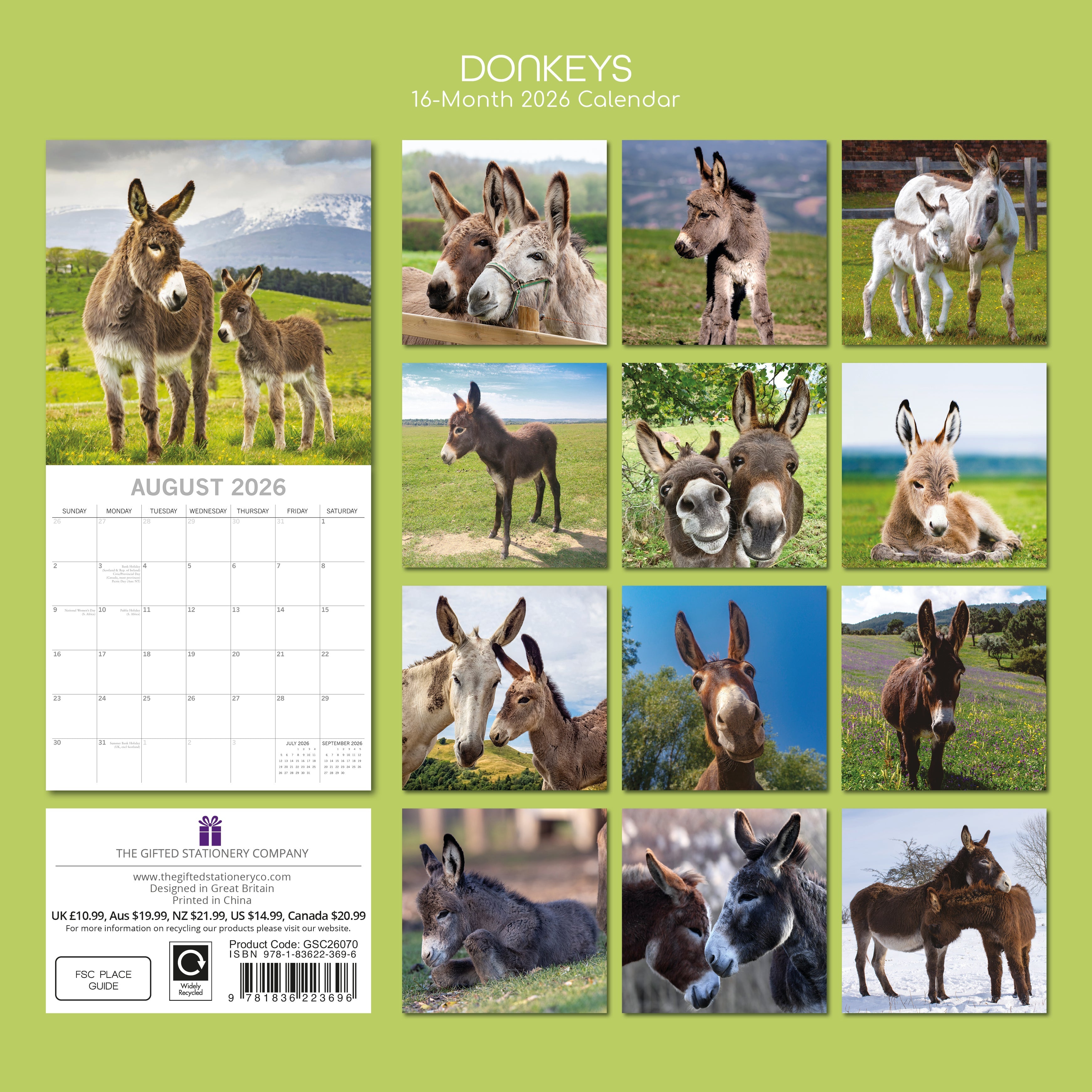 2026 Donkeys - Square Wall Calendar
