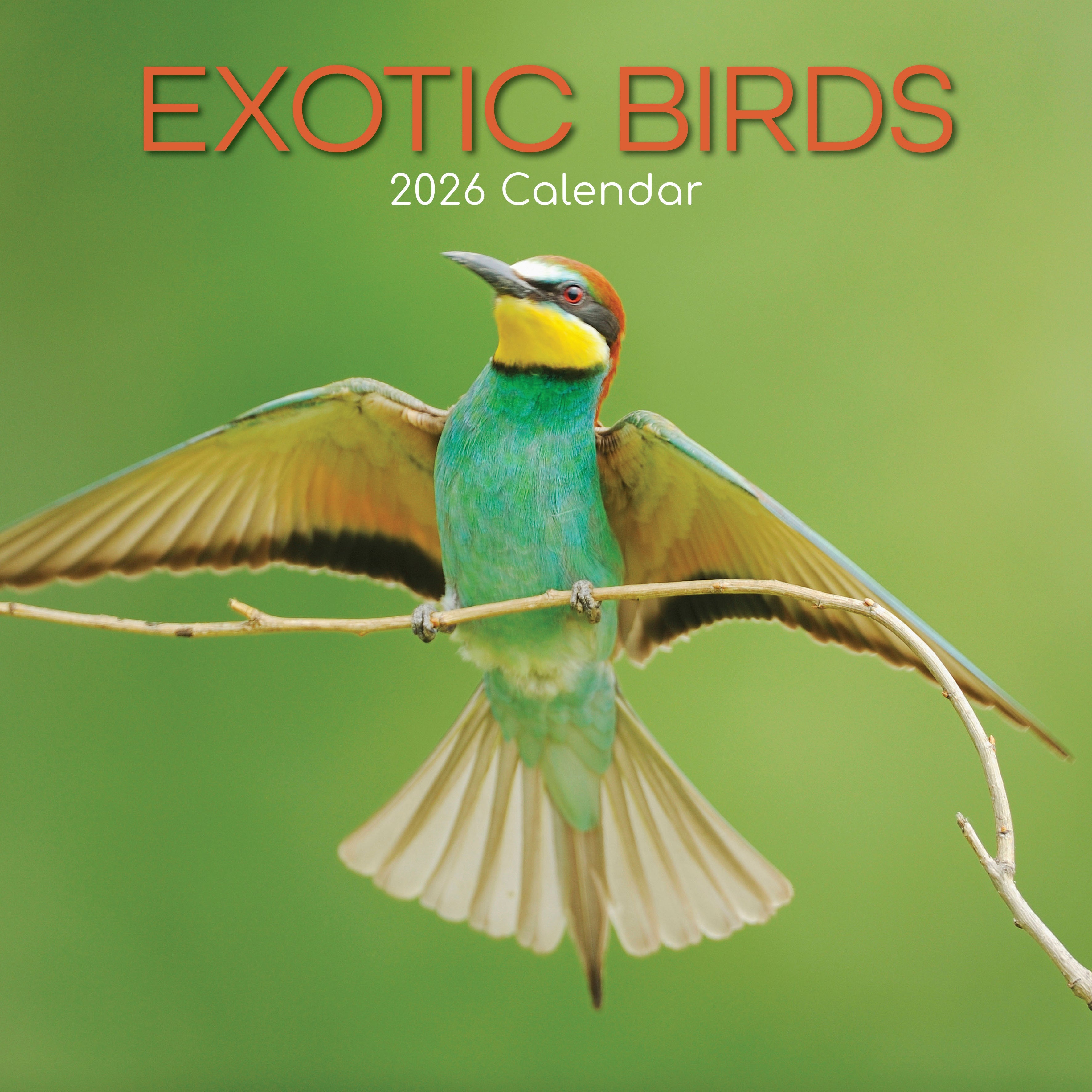 2026 Exotic Birds - Square Wall Calendar