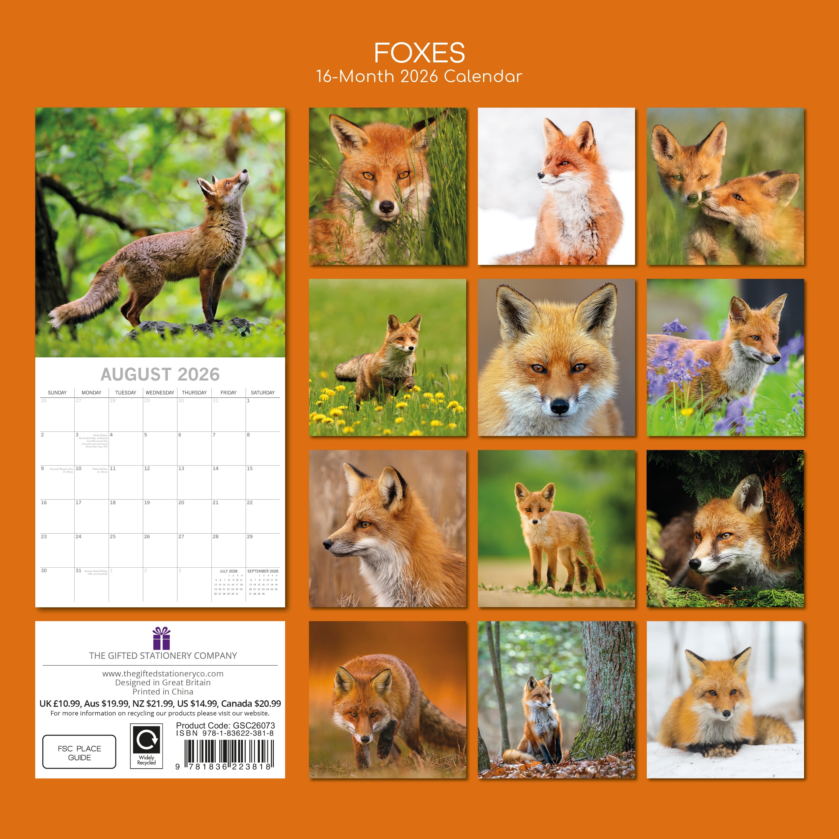 2026 Foxes - Square Wall Calendar
