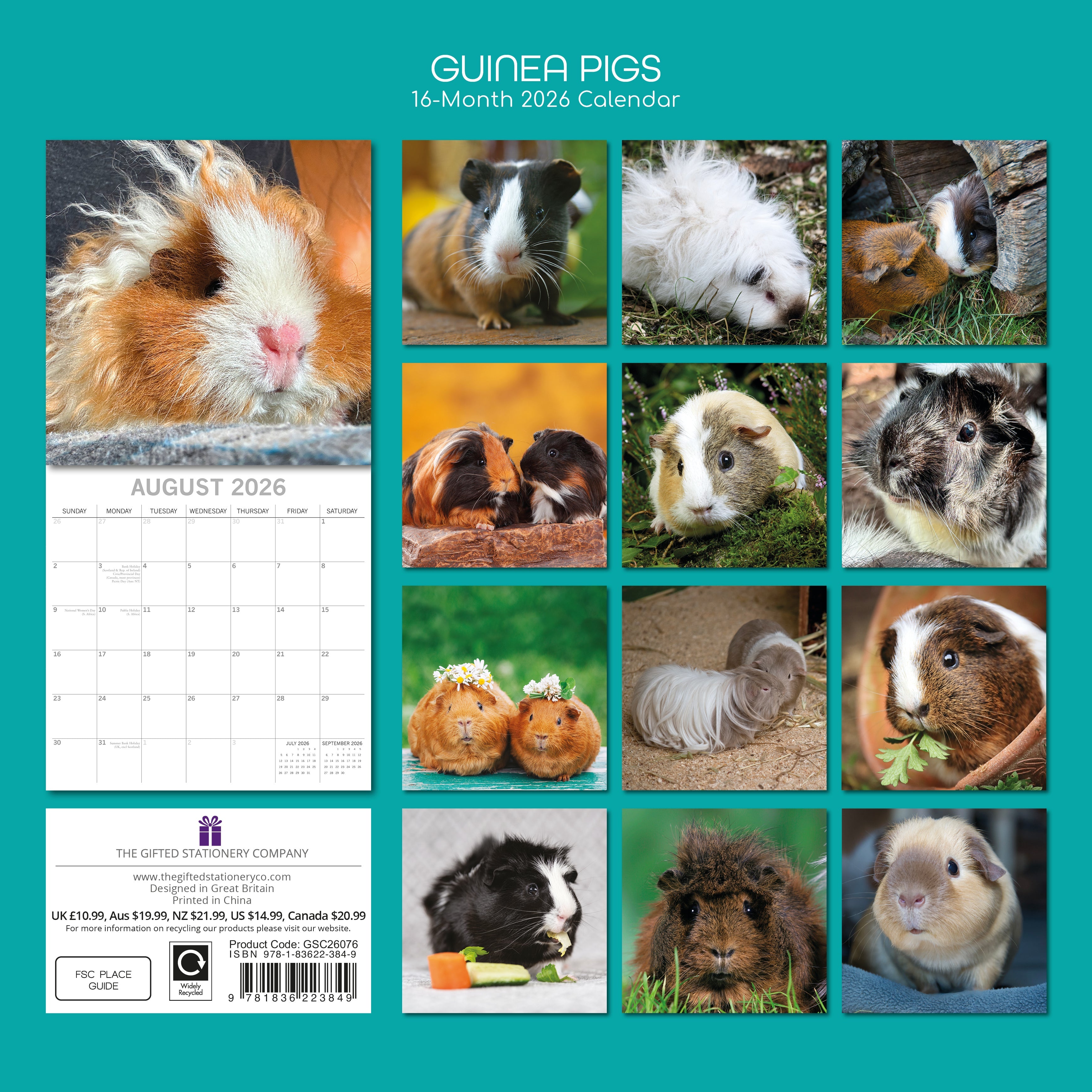 2026 Guinea Pigs - Square Wall Calendar