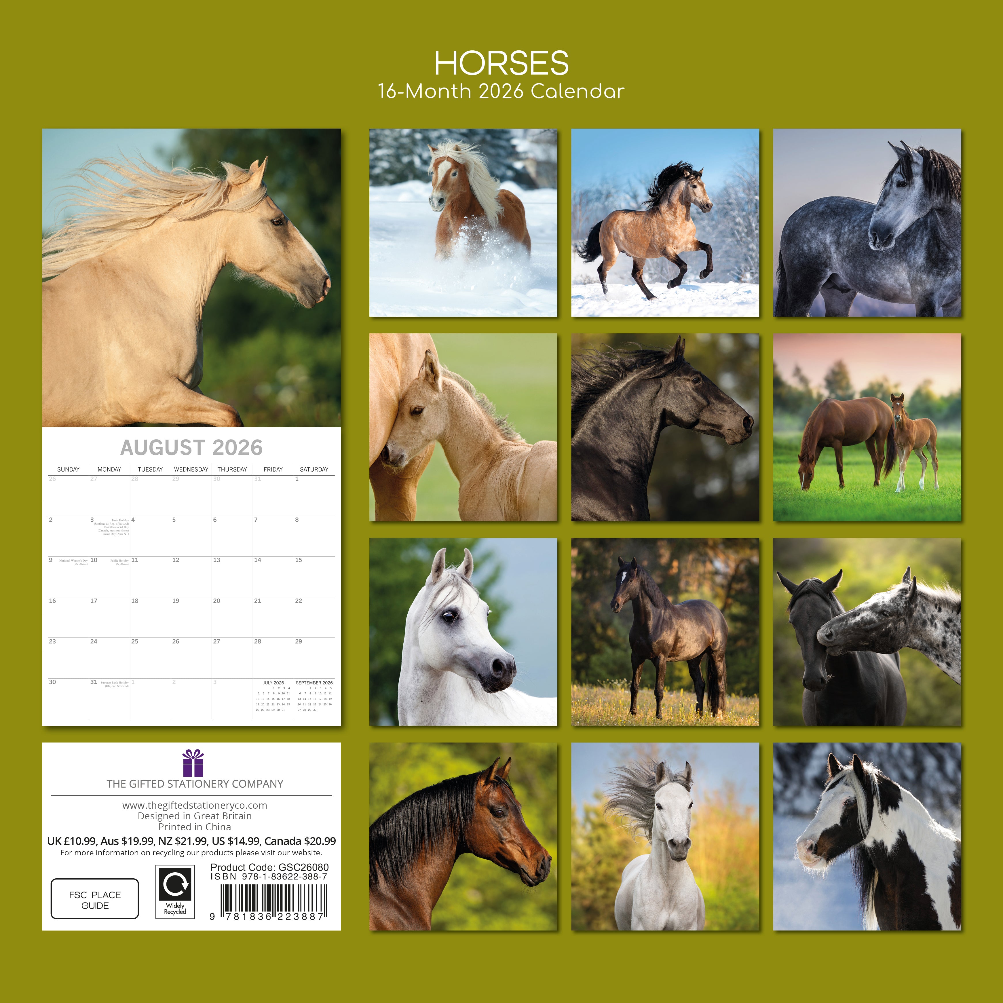 2026 Horses - Square Wall Calendar