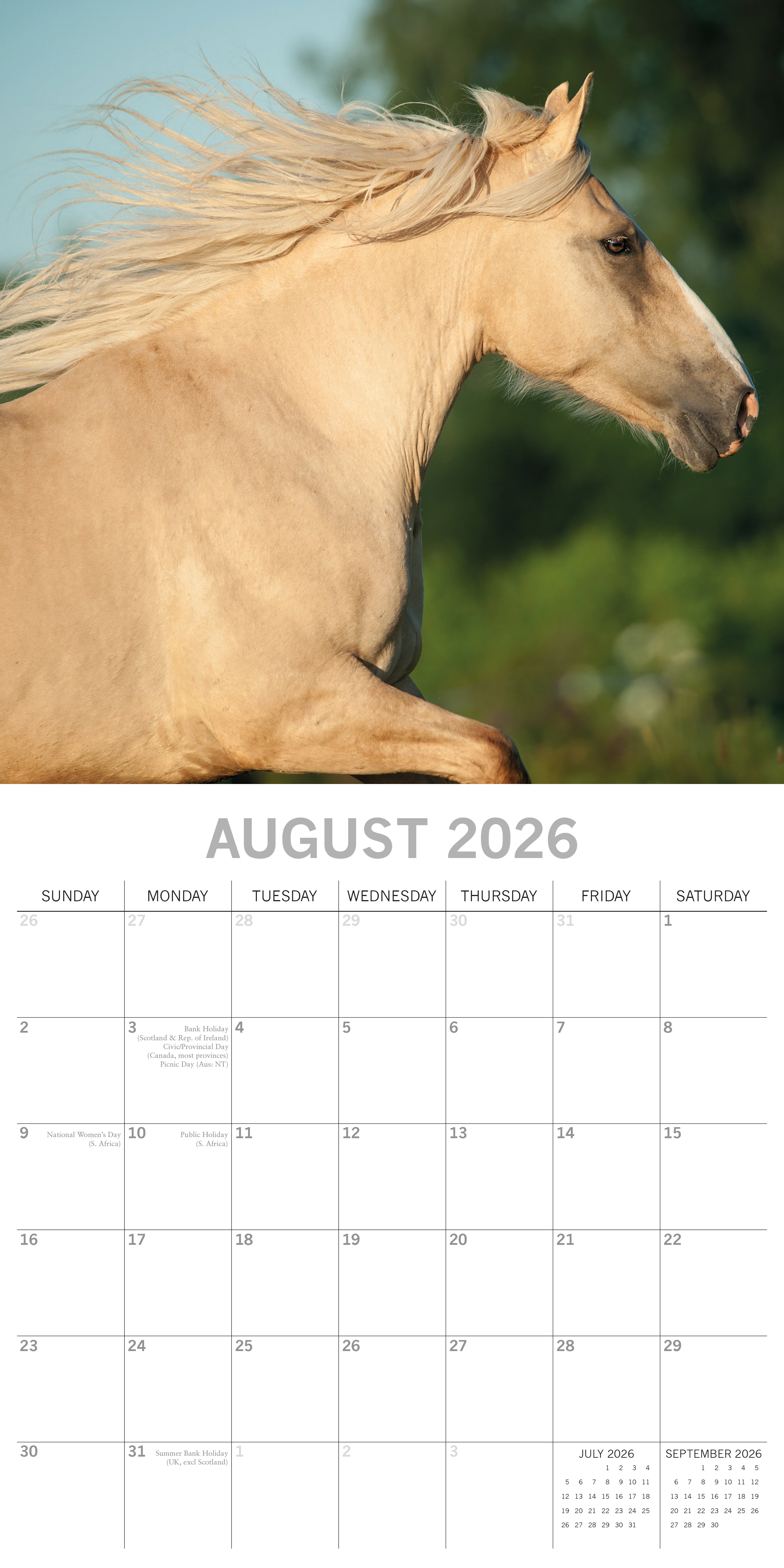 2026 Horses - Square Wall Calendar