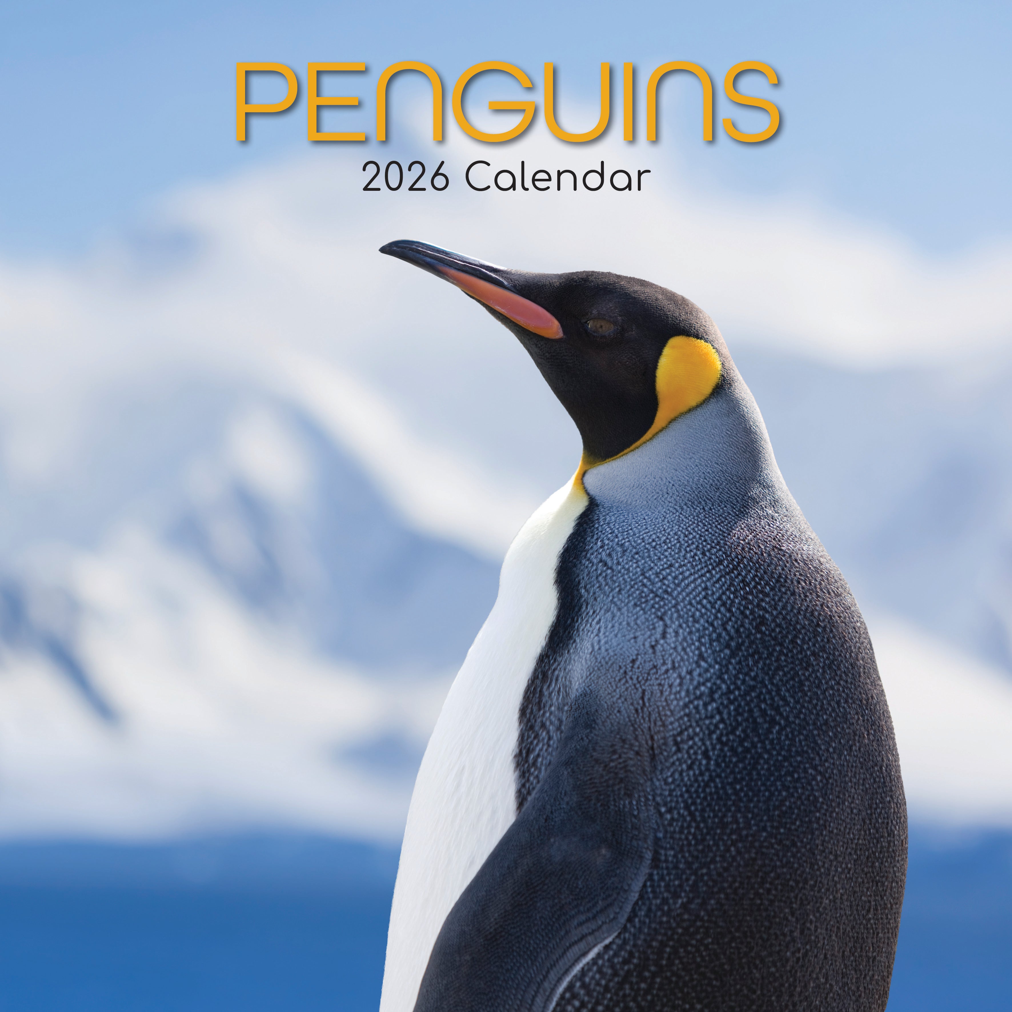 2026 Penguins - Square Wall Calendar