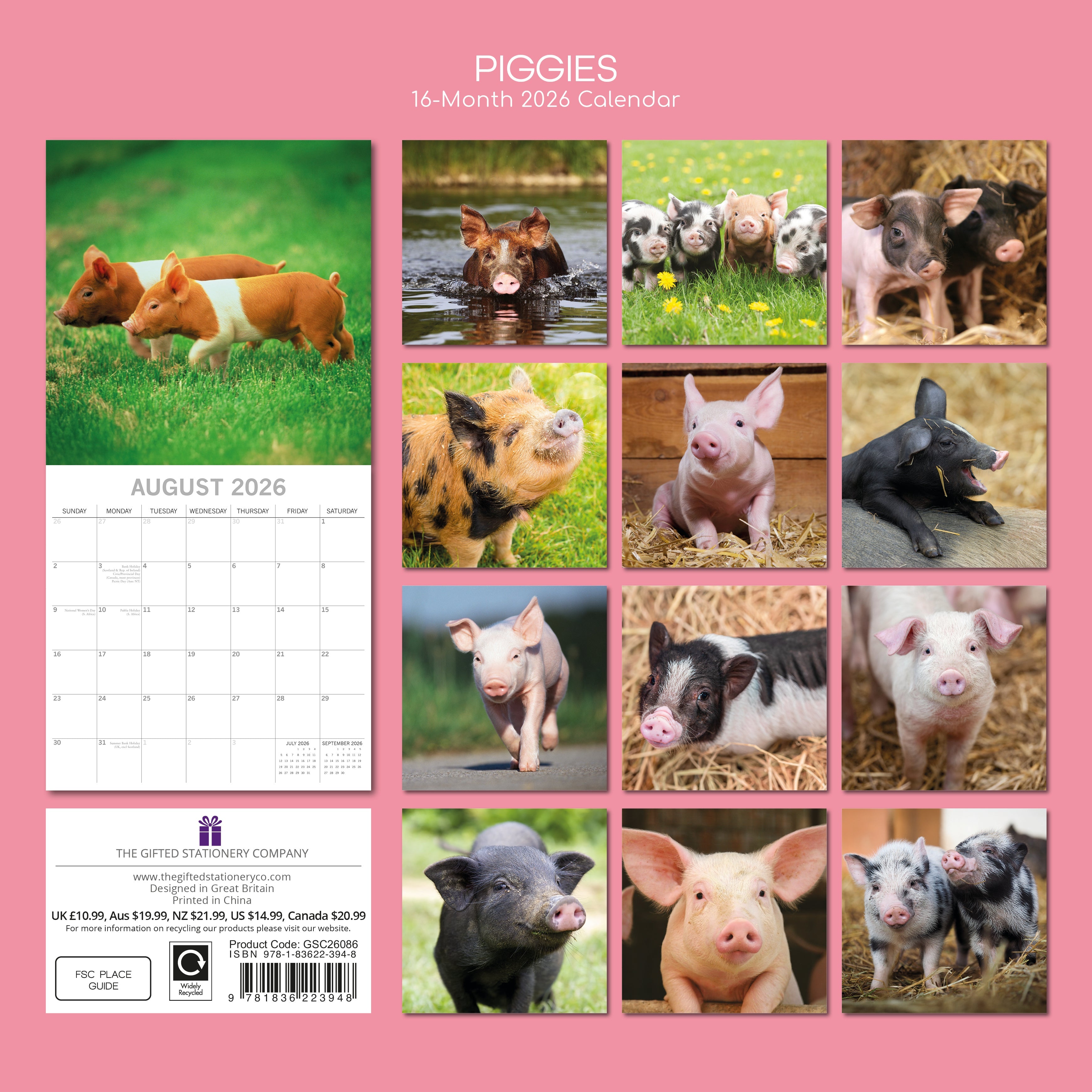2026 Piggies - Square Wall Calendar
