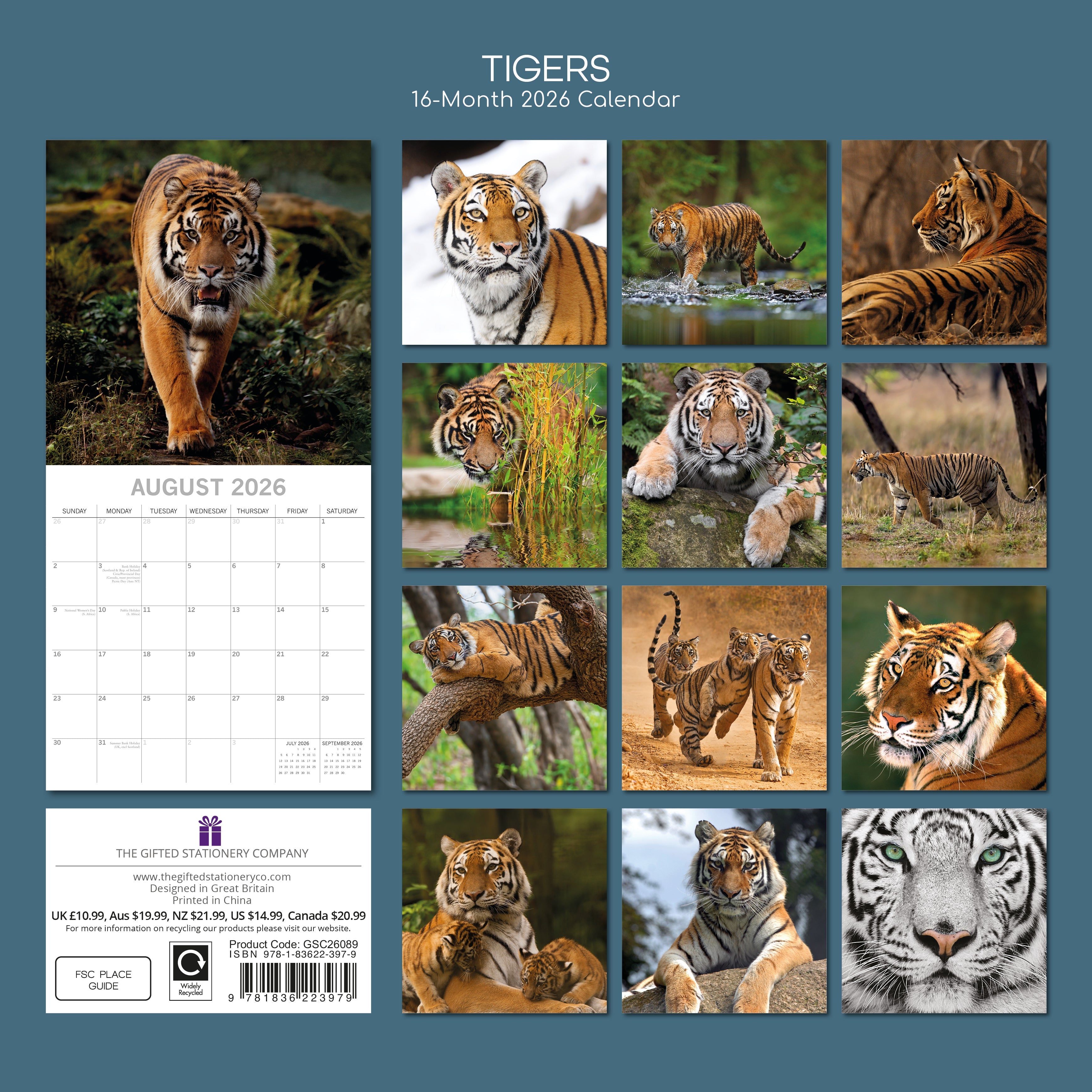 2026 Tigers - Square Wall Calendar