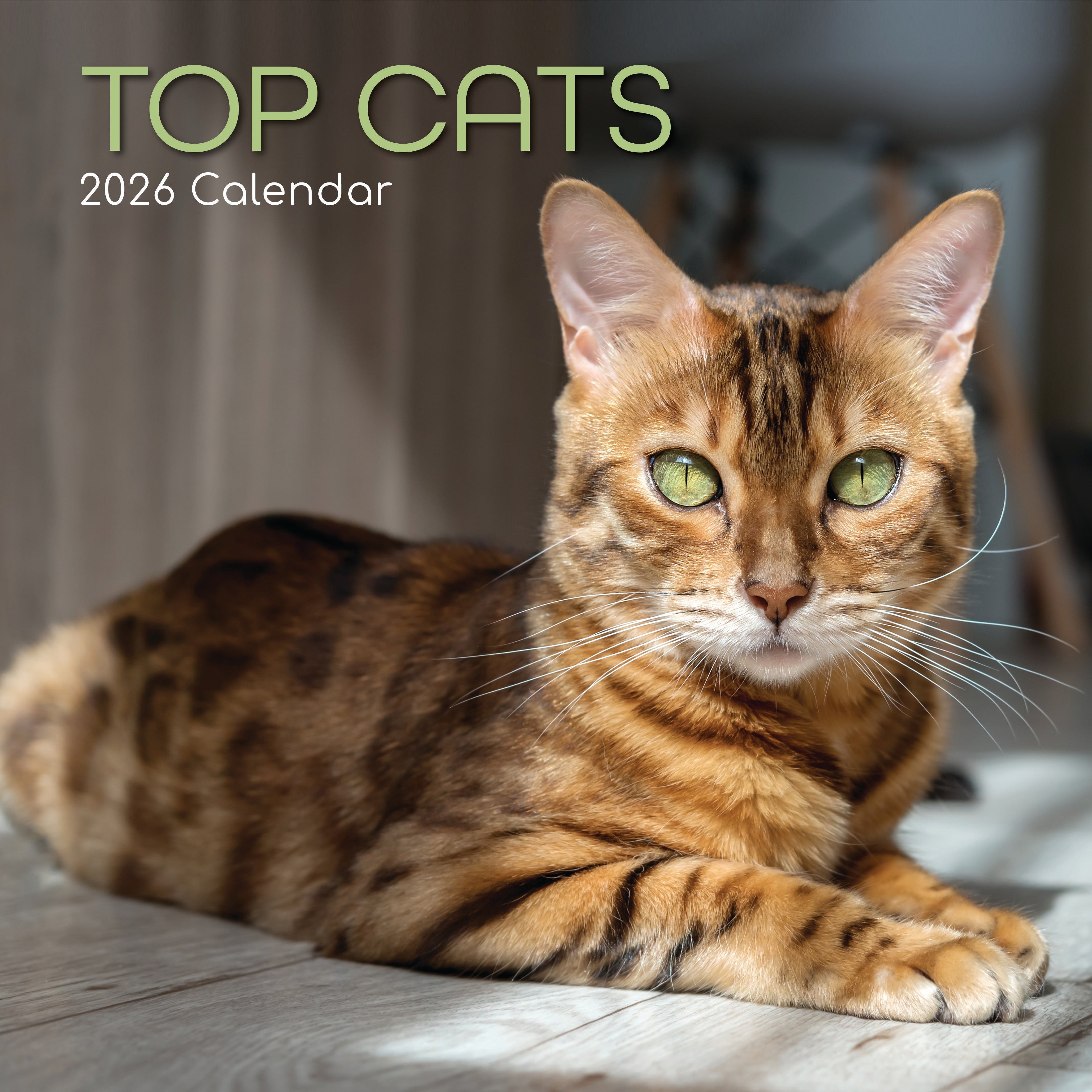 2026 Top Cats - Square Wall Calendar