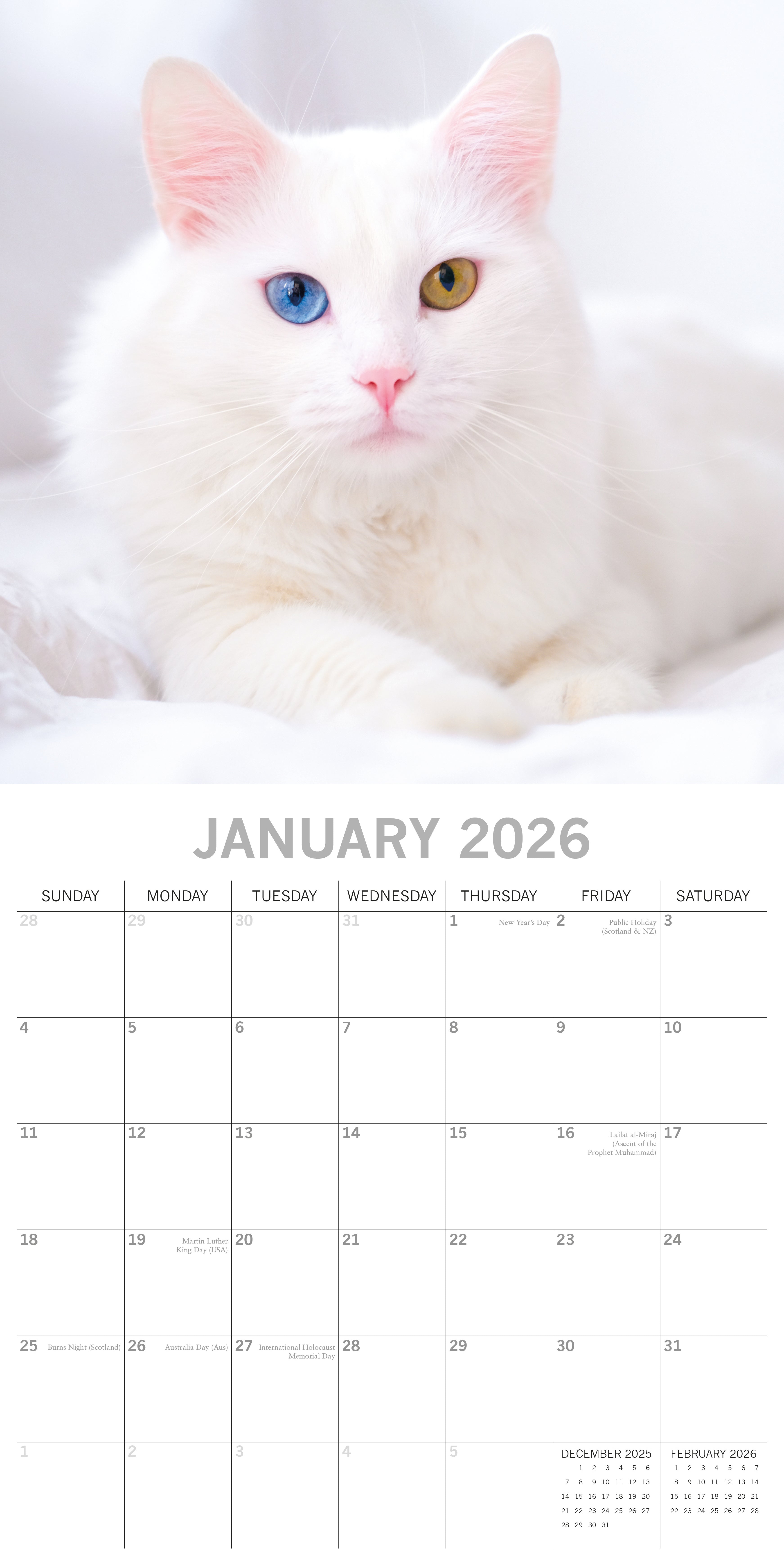 2026 Top Cats - Square Wall Calendar