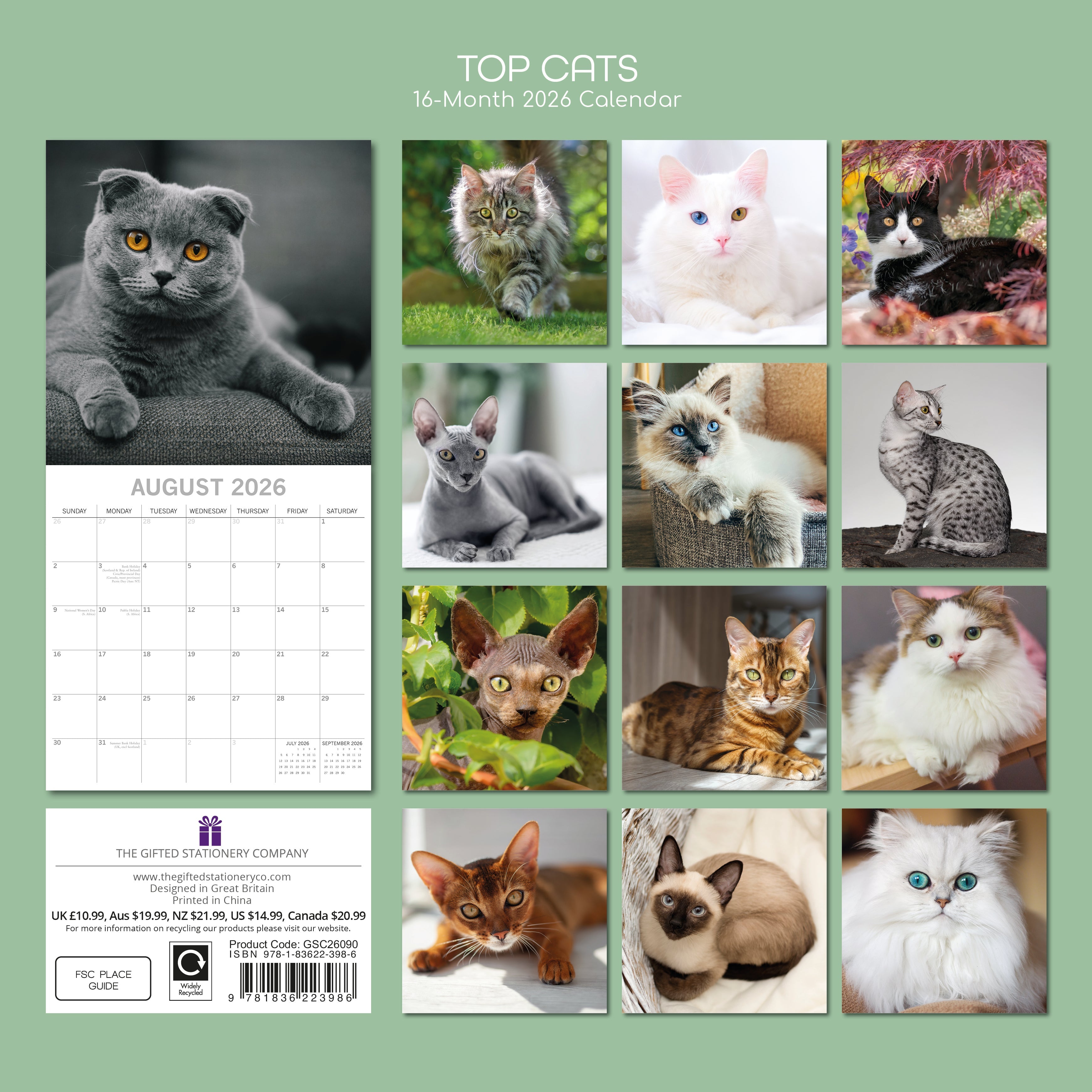 2026 Top Cats - Square Wall Calendar