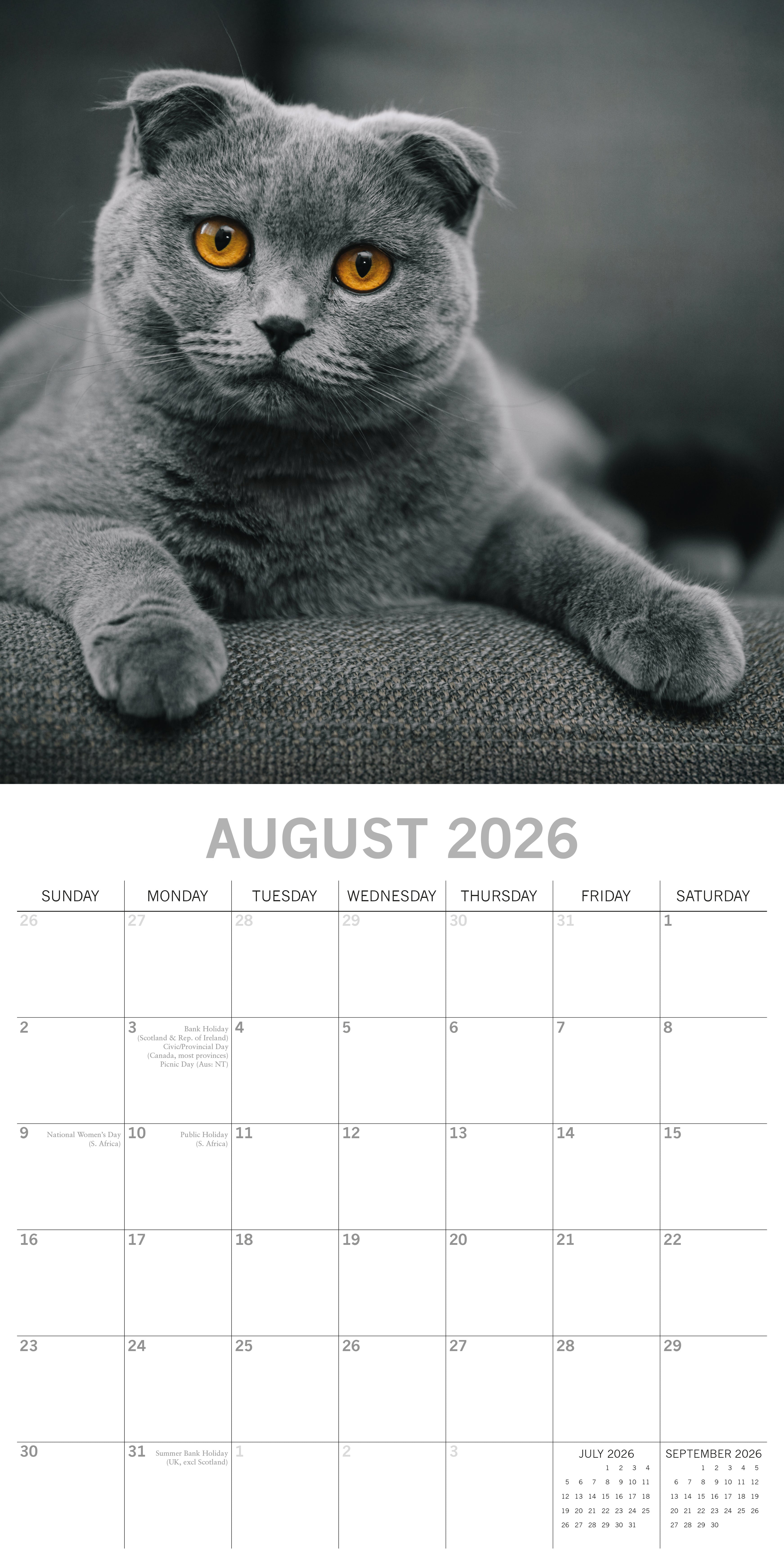 2026 Top Cats - Square Wall Calendar