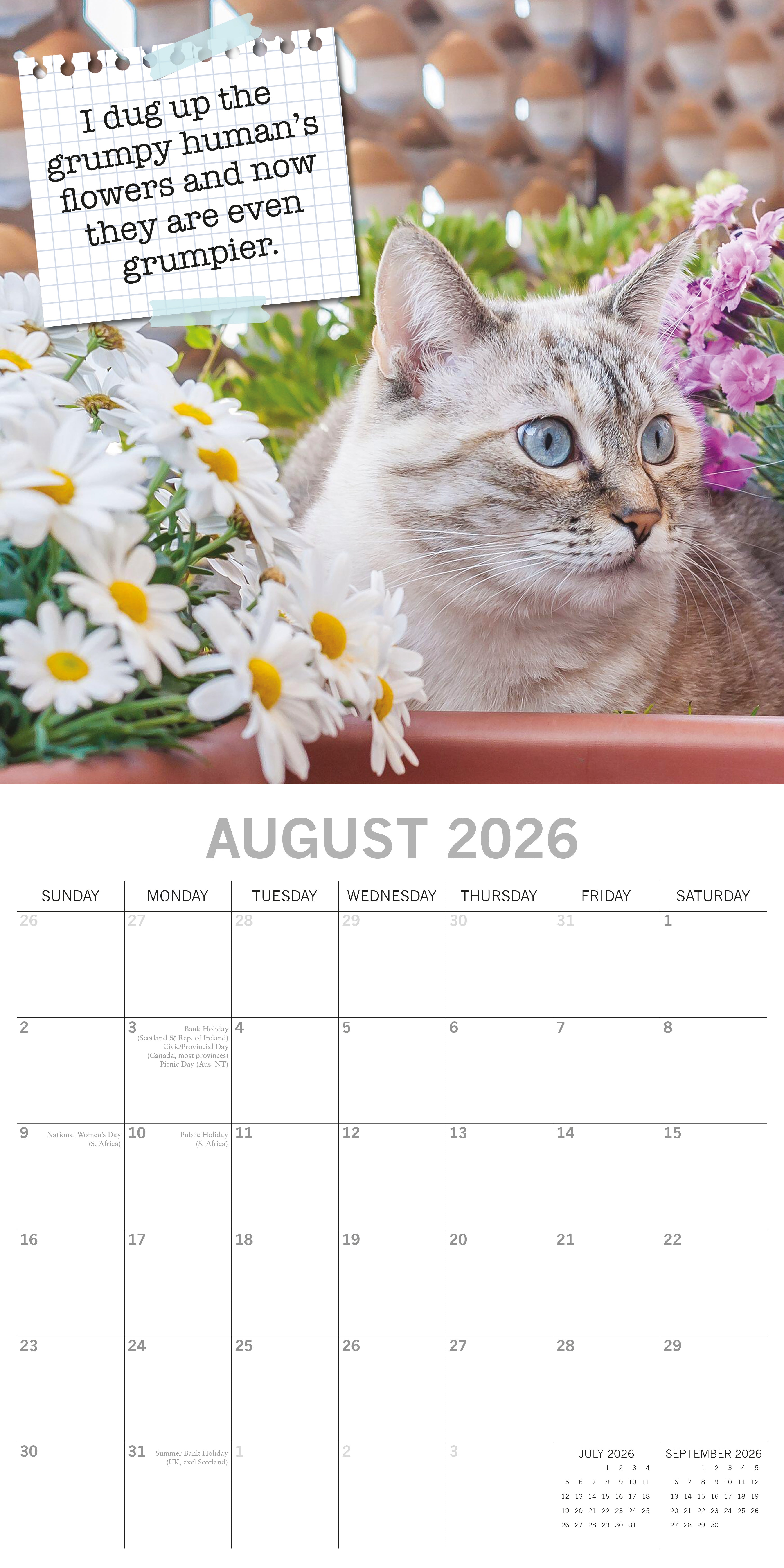 2026 Cat Shaming - Square Wall Calendar