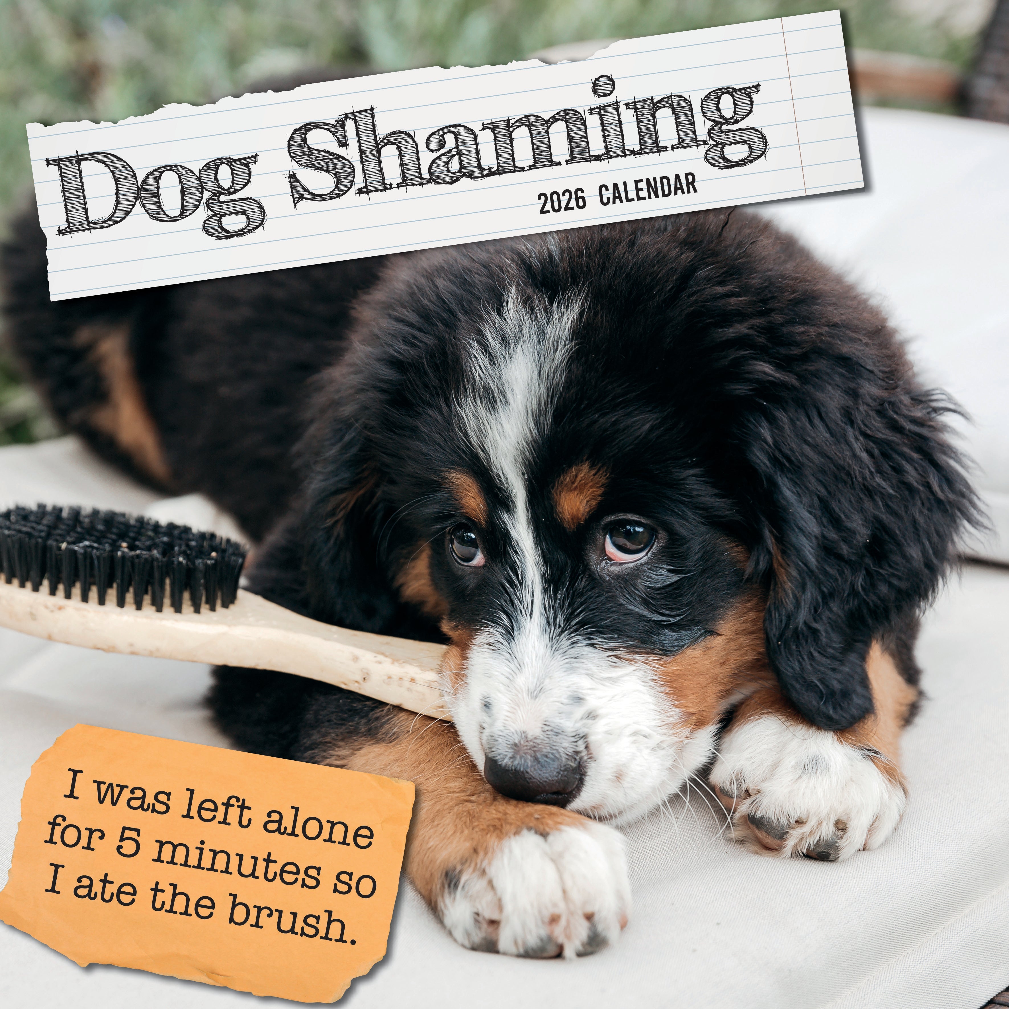 2026 Dog Shaming - Square Wall Calendar