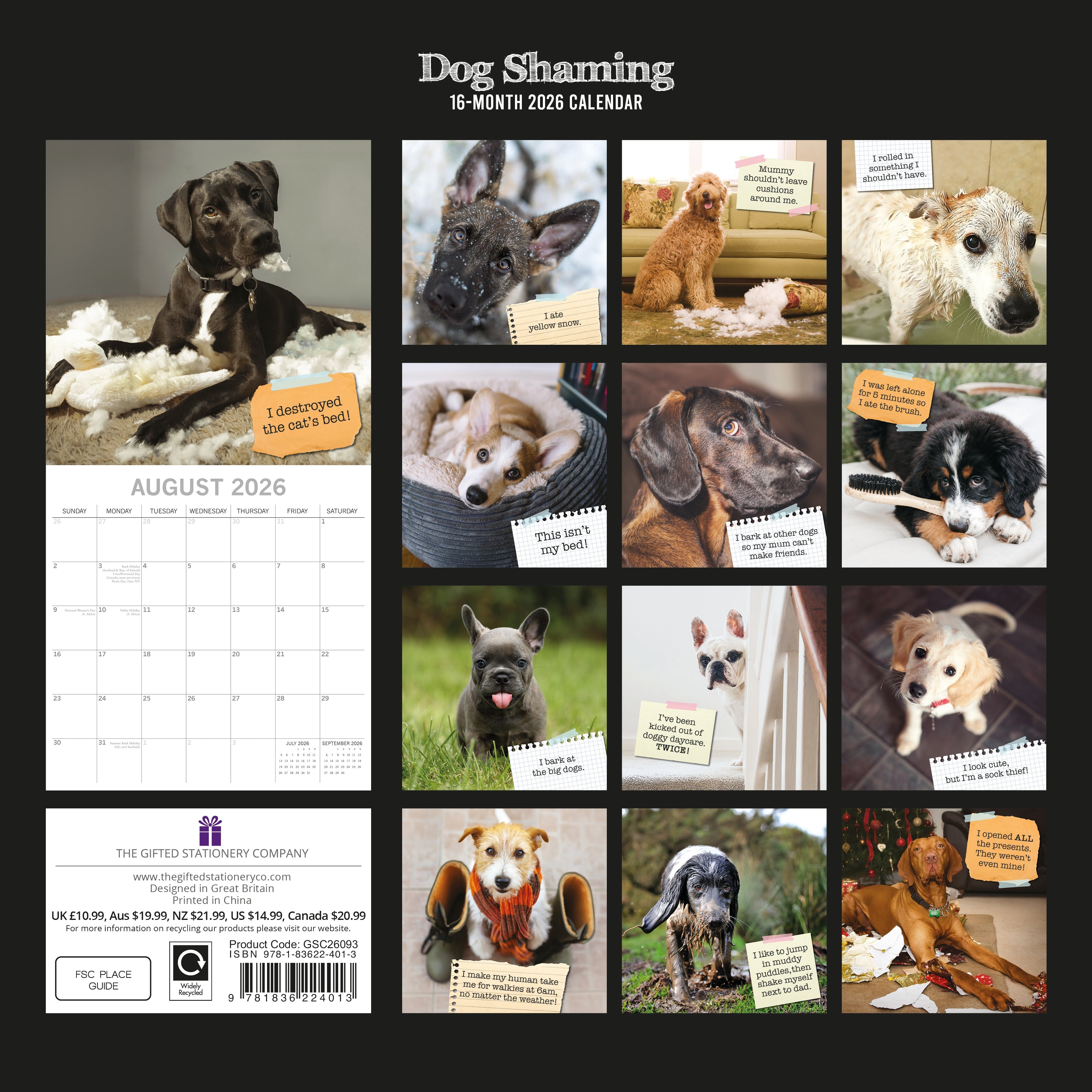 2026 Dog Shaming - Square Wall Calendar