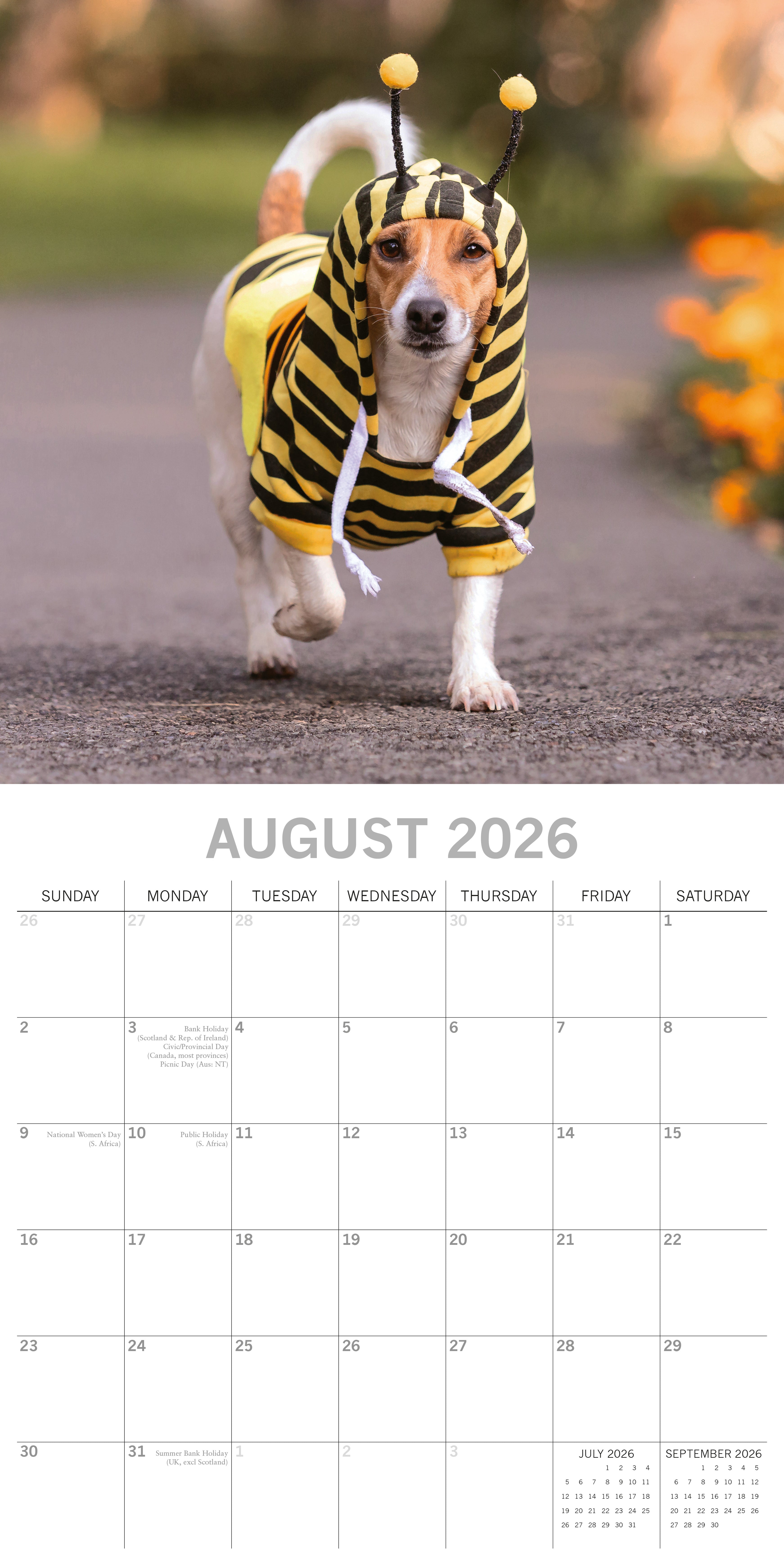 2026 Dogs as Animals - Square Wall Calendar