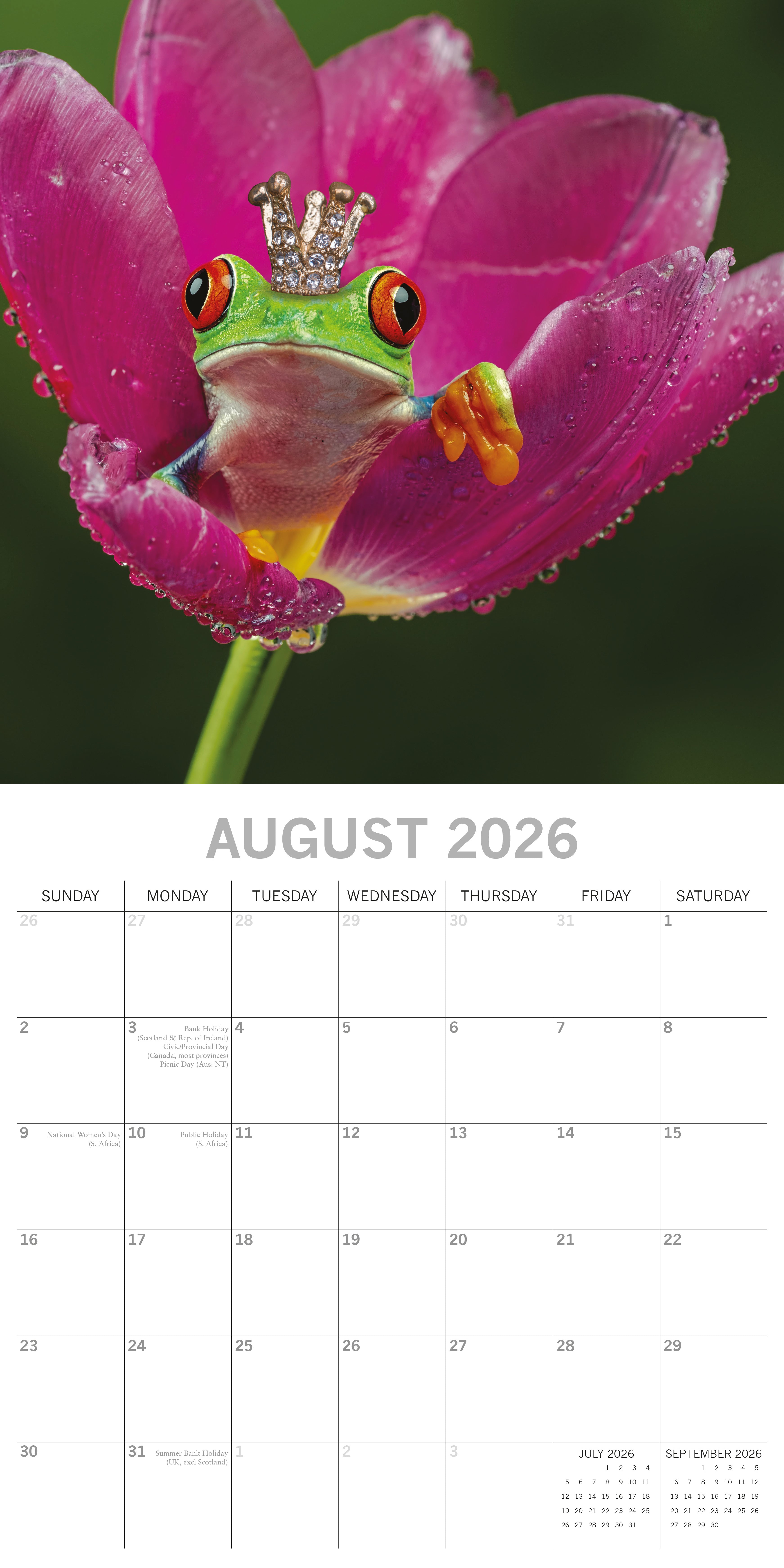 2026 Fabulous Frogs - Square Wall Calendar