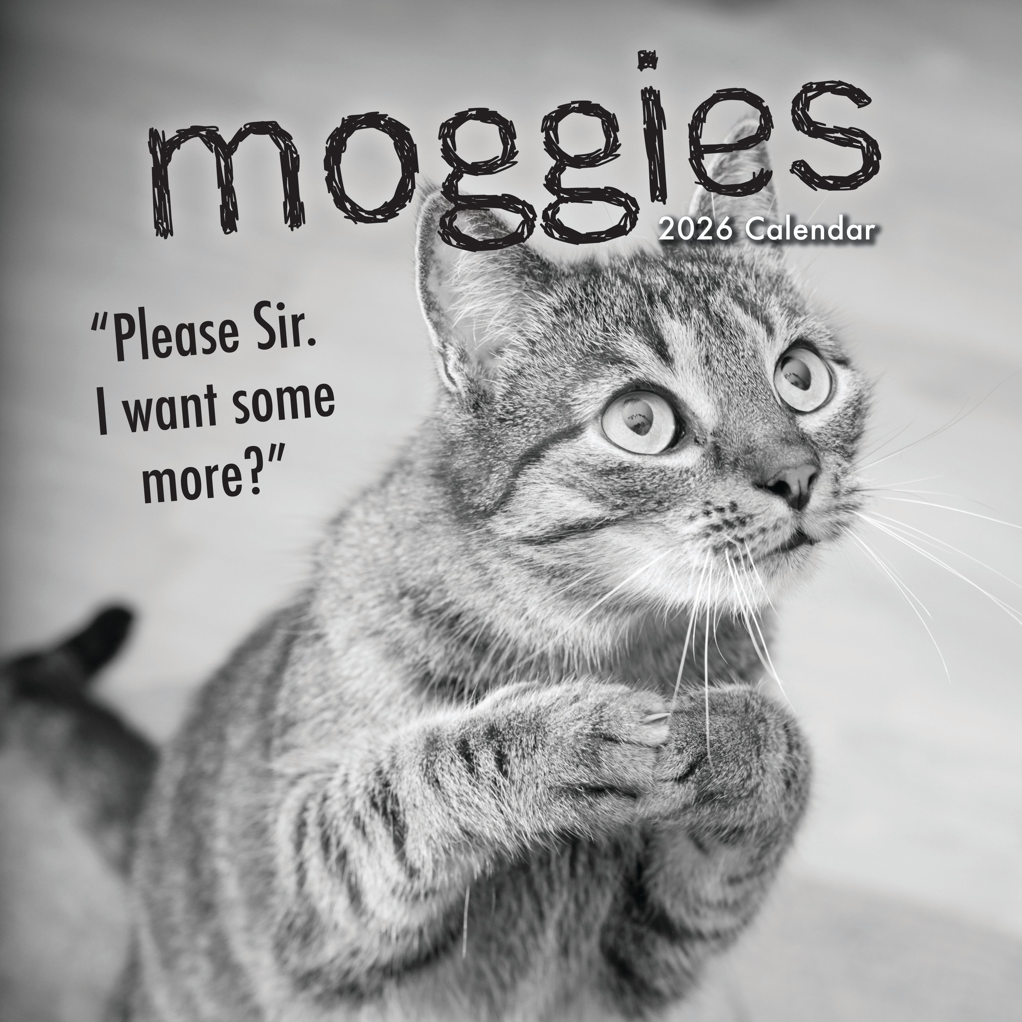 2026 Moggies - Square Wall Calendar