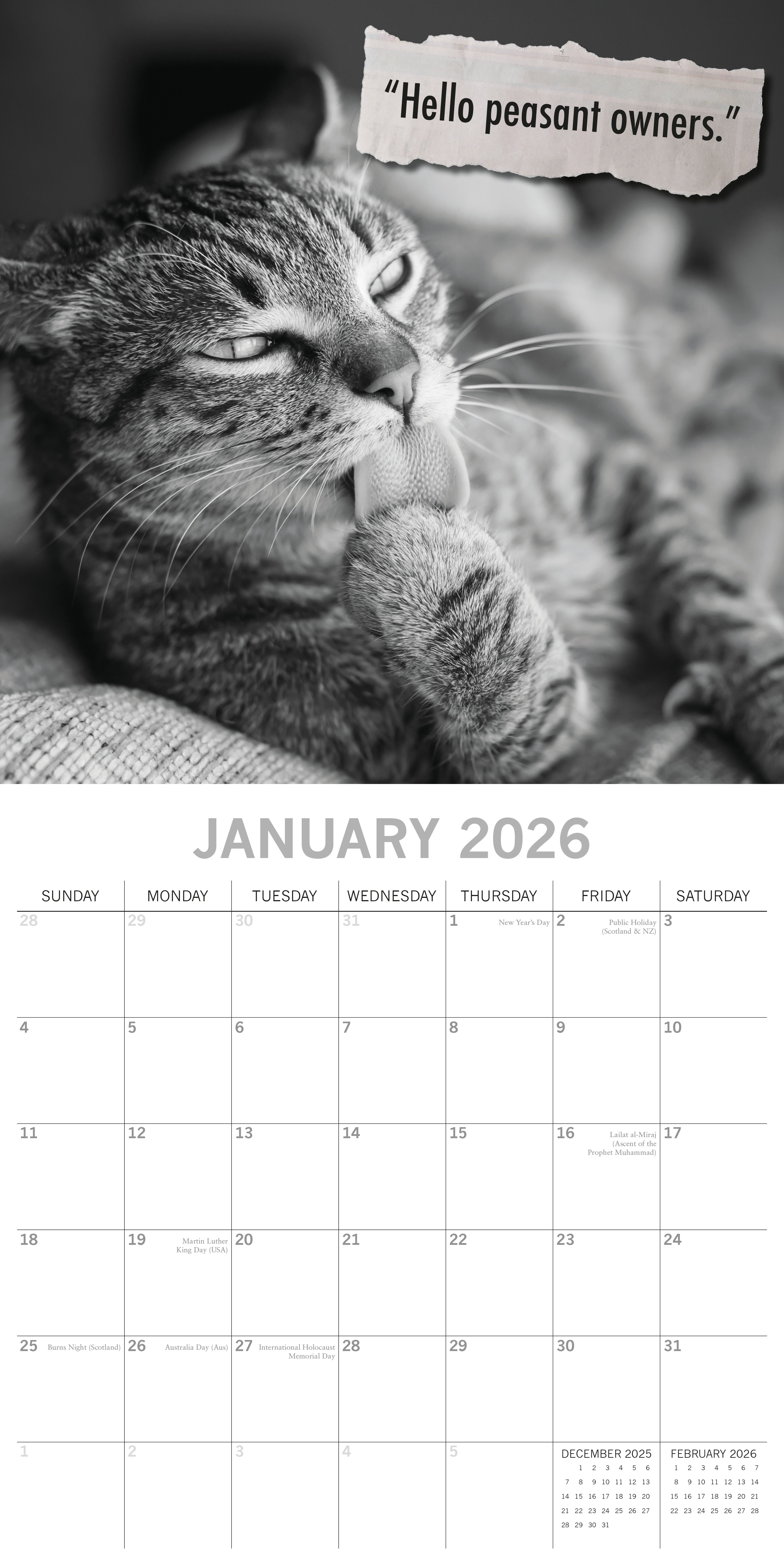 2026 Moggies - Square Wall Calendar