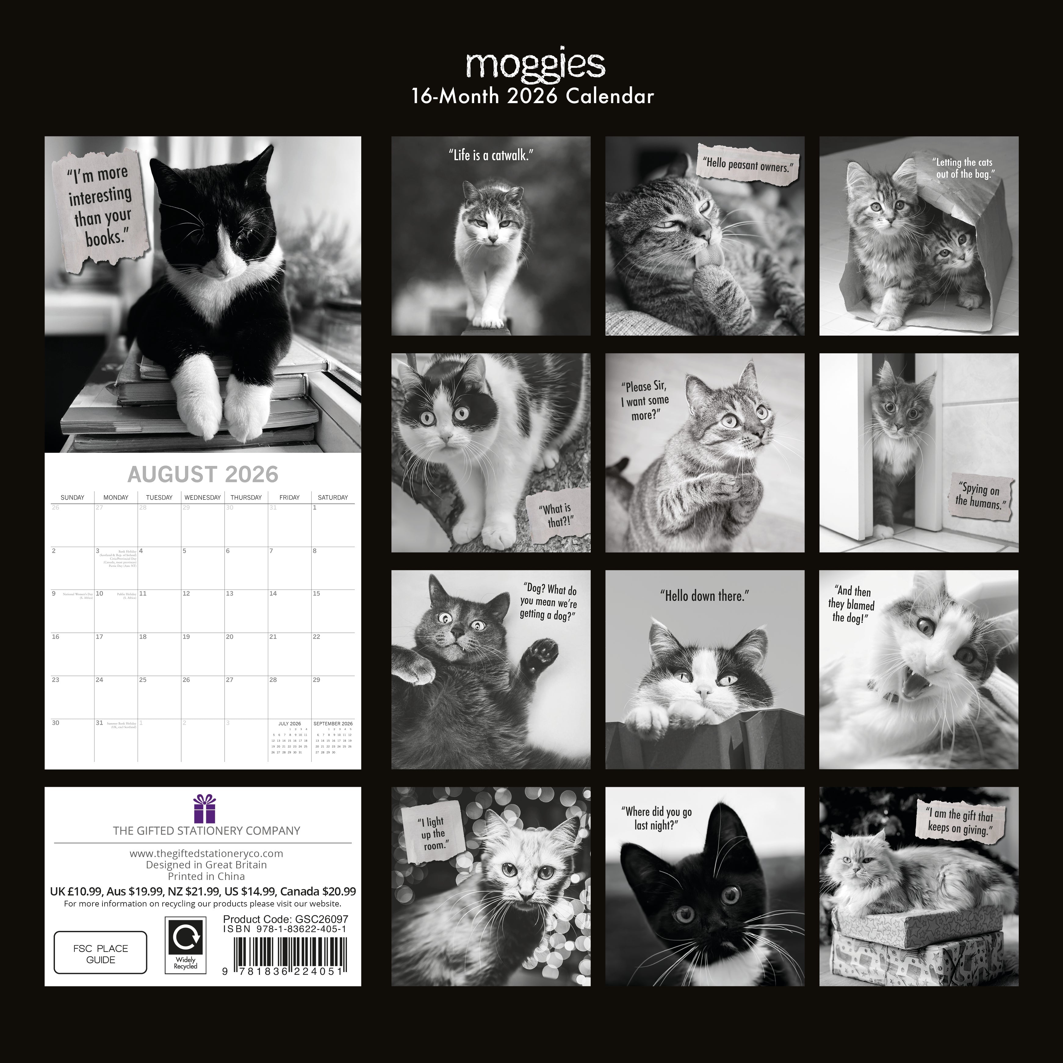 2026 Moggies - Square Wall Calendar