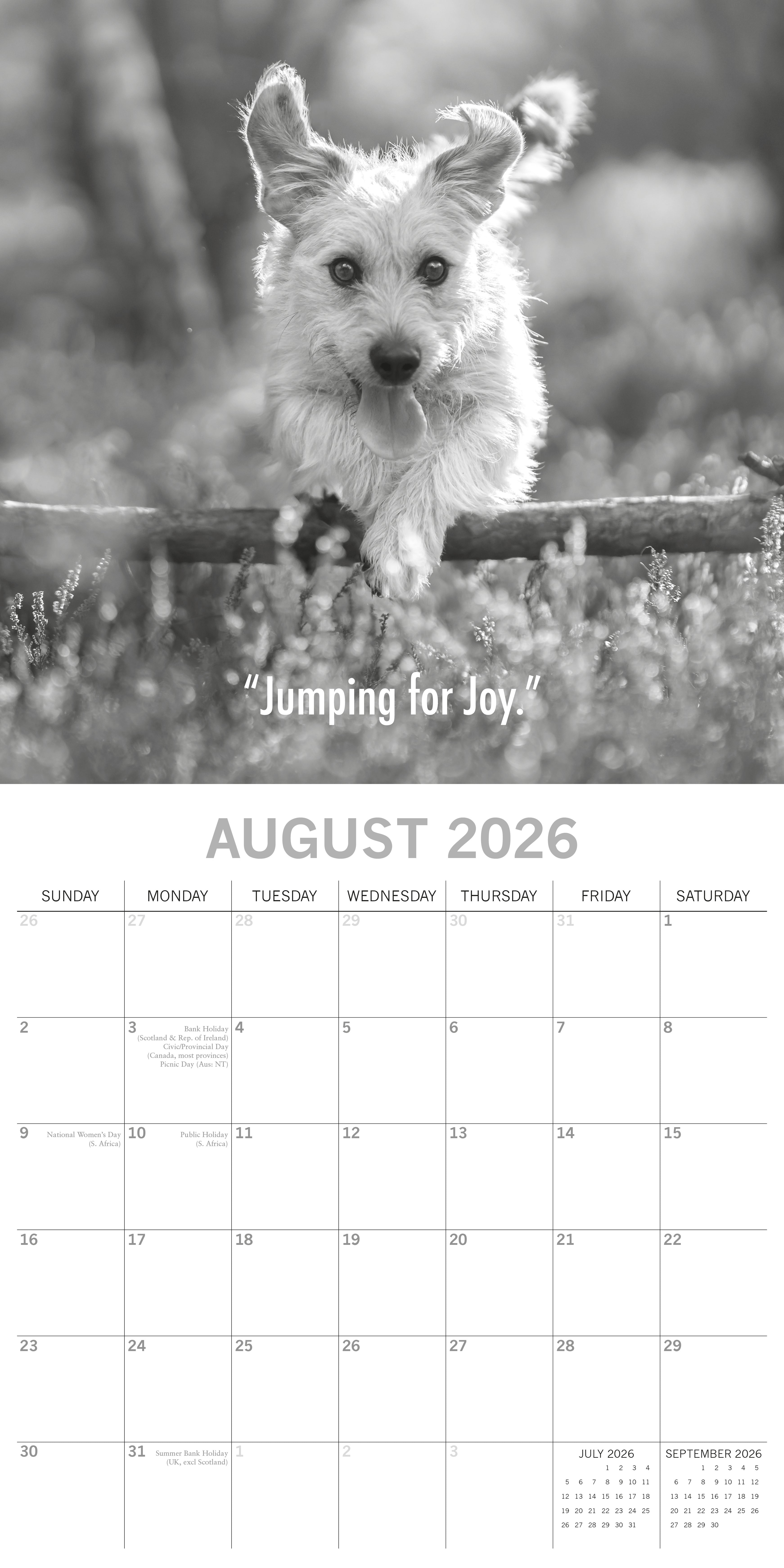 2026 Mutts - Square Wall Calendar