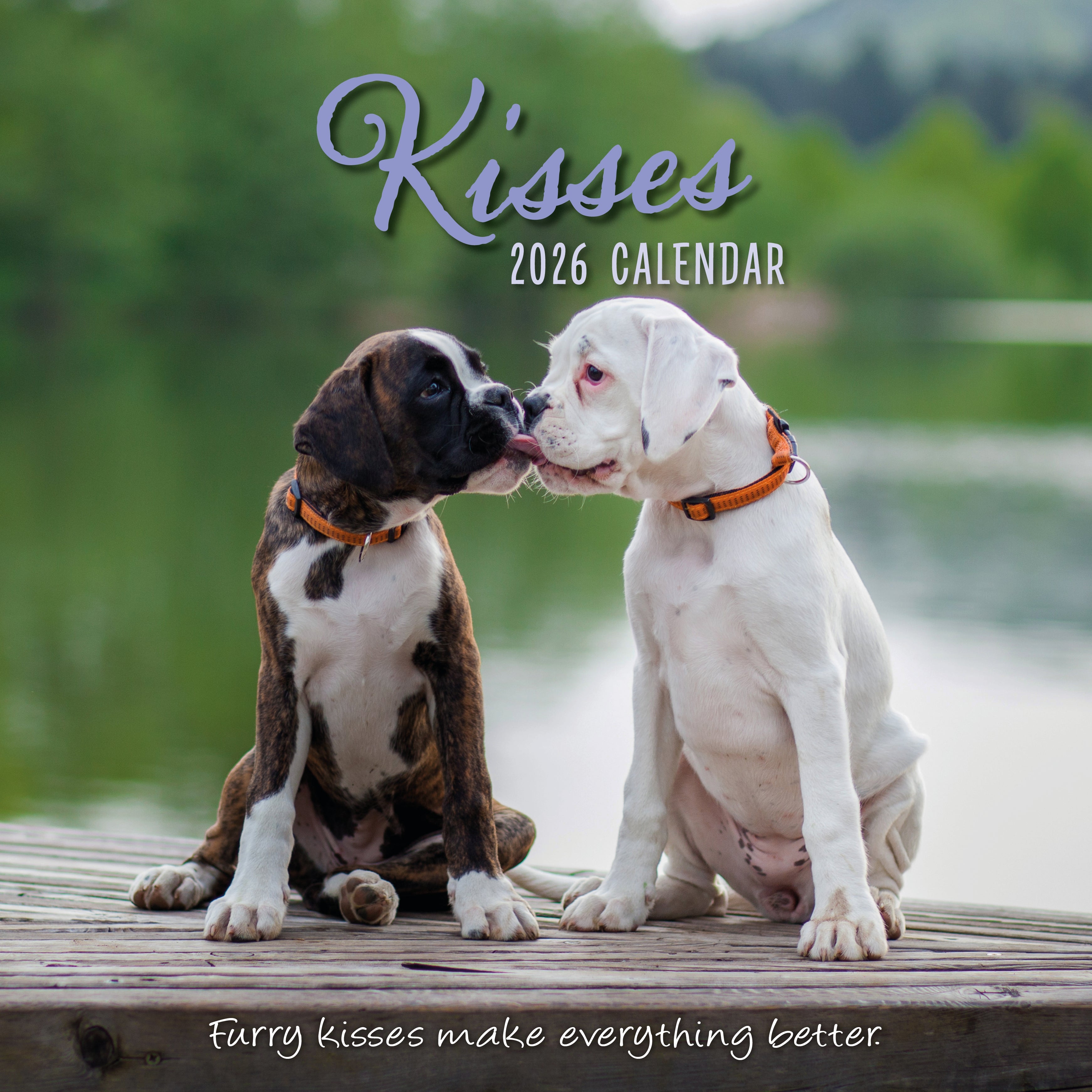 2026 Kisses - Square Wall Calendar