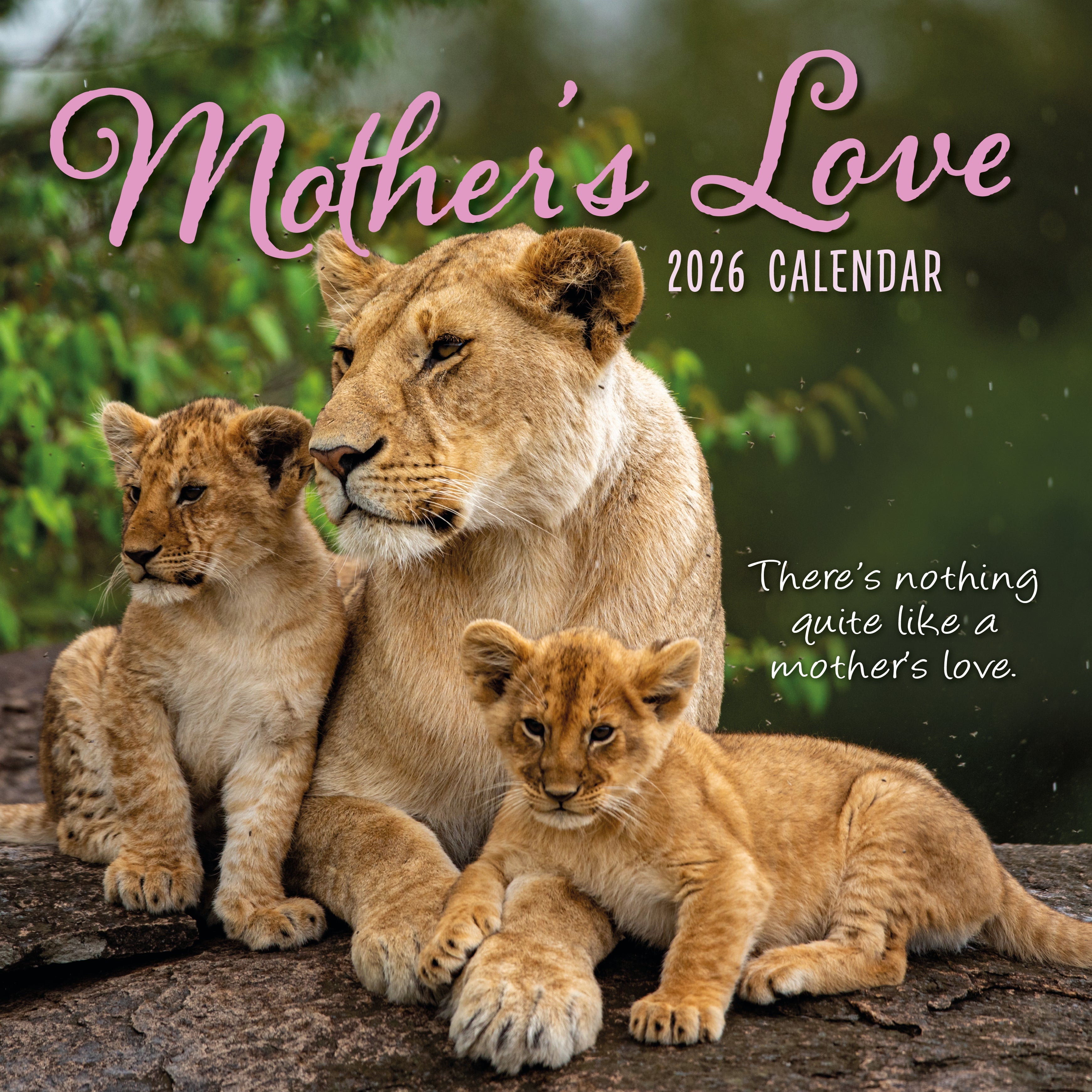2026 Mother's Love - Square Wall Calendar